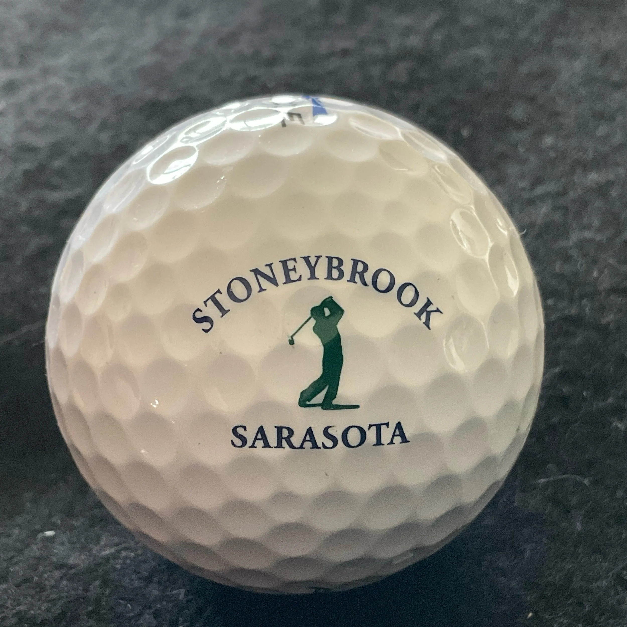 Stoneybrook - Golf and Country Club of Stoneybrook