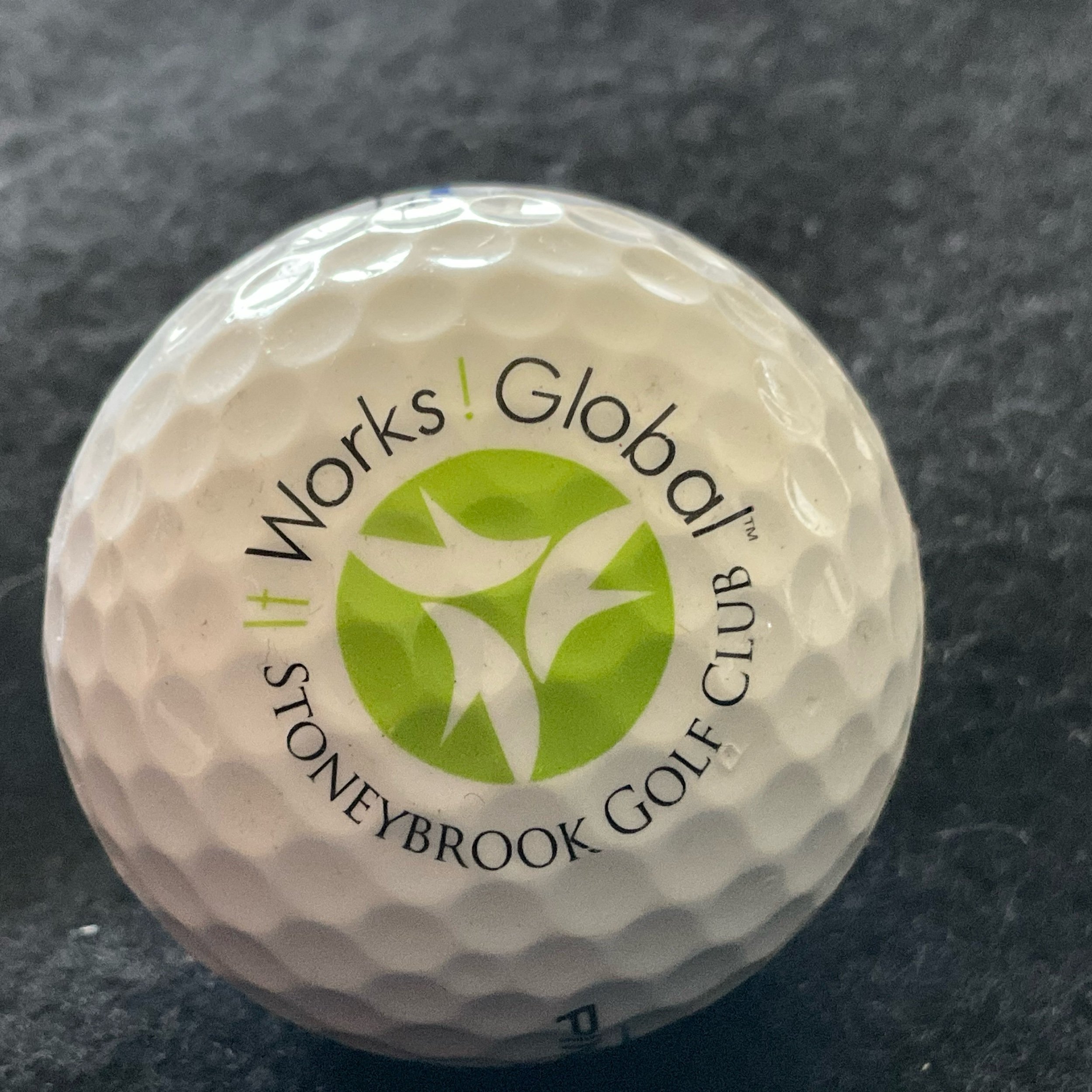 Stoneybrook Golf Club at Heritage Harbour