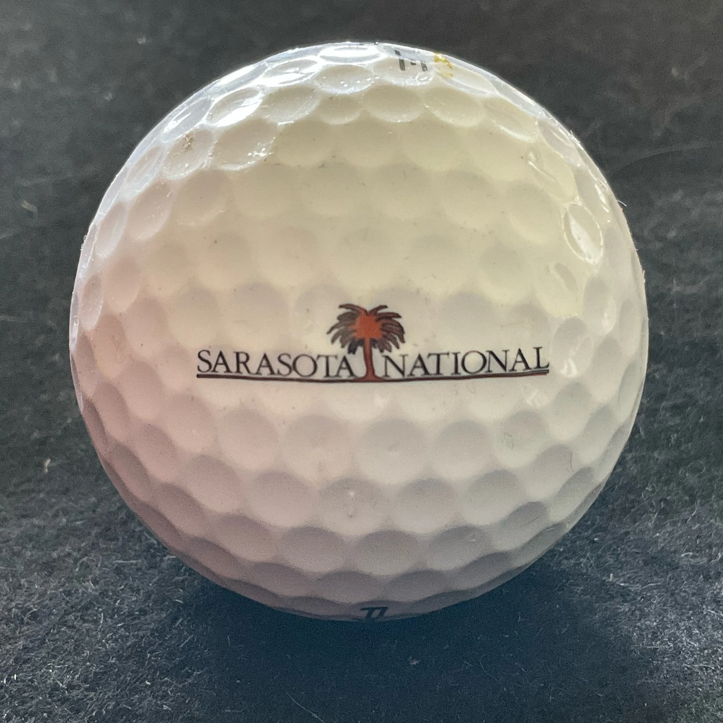 Sarasota National Golf Club