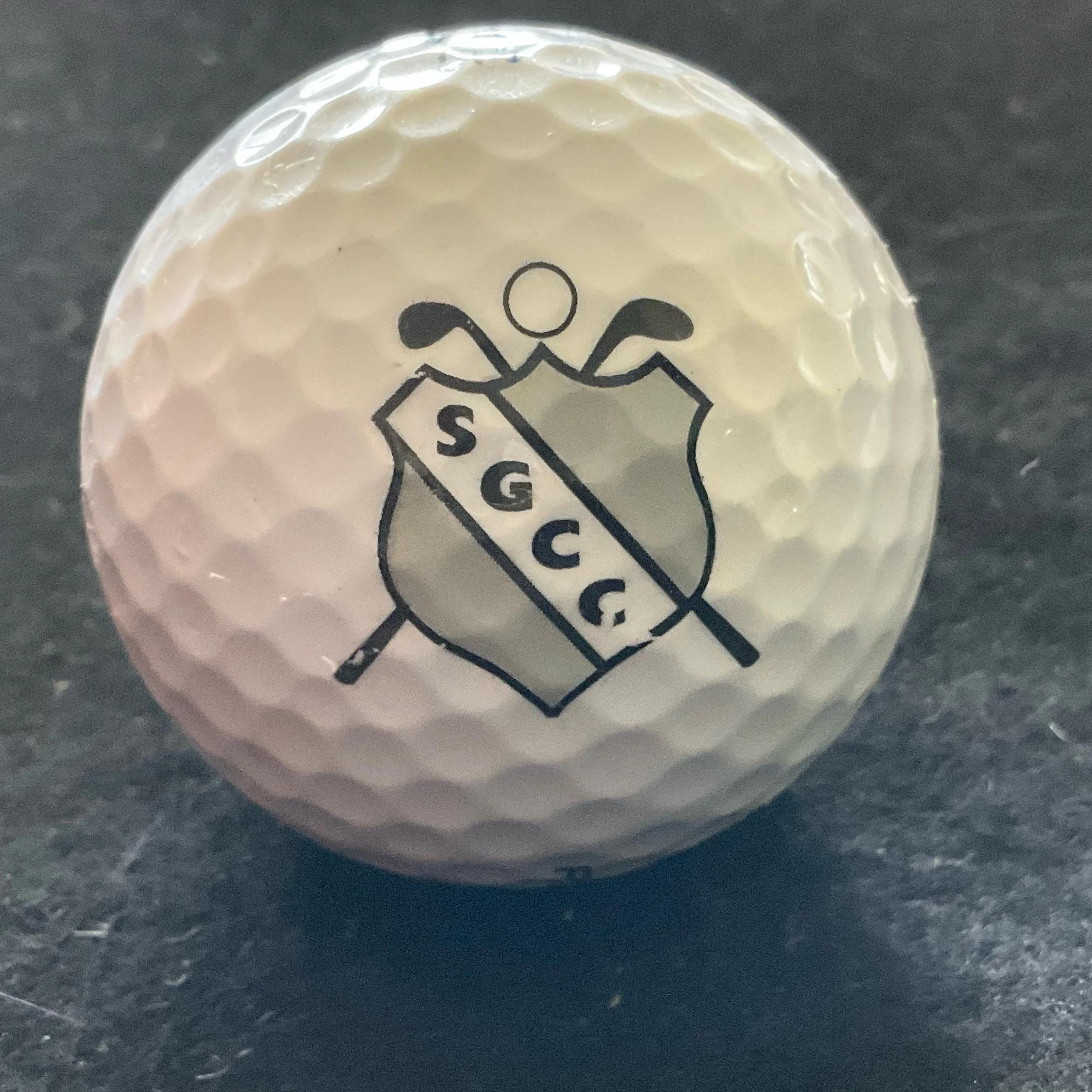 Skagit Golf and Country Club