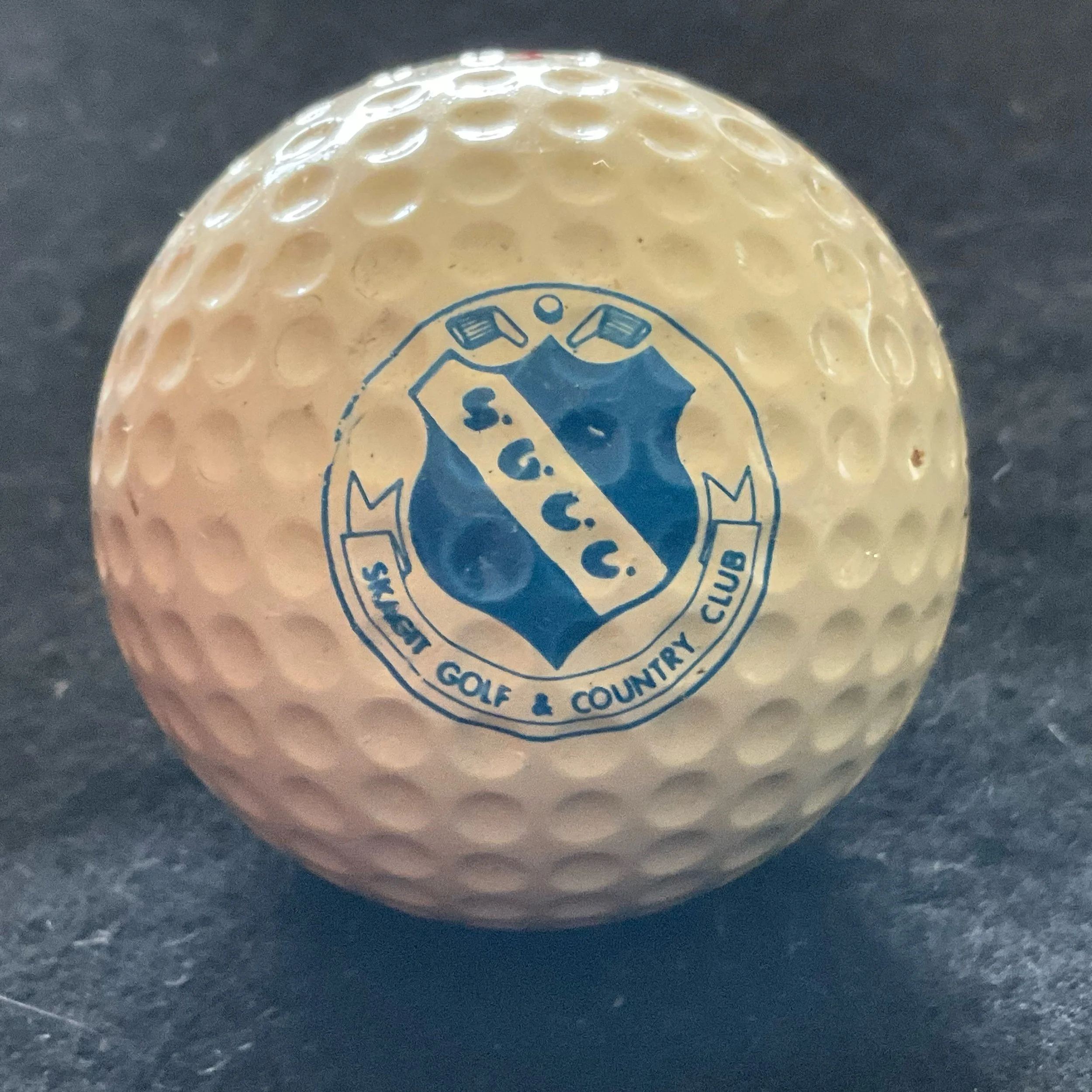 Skagit Golf and Country Club