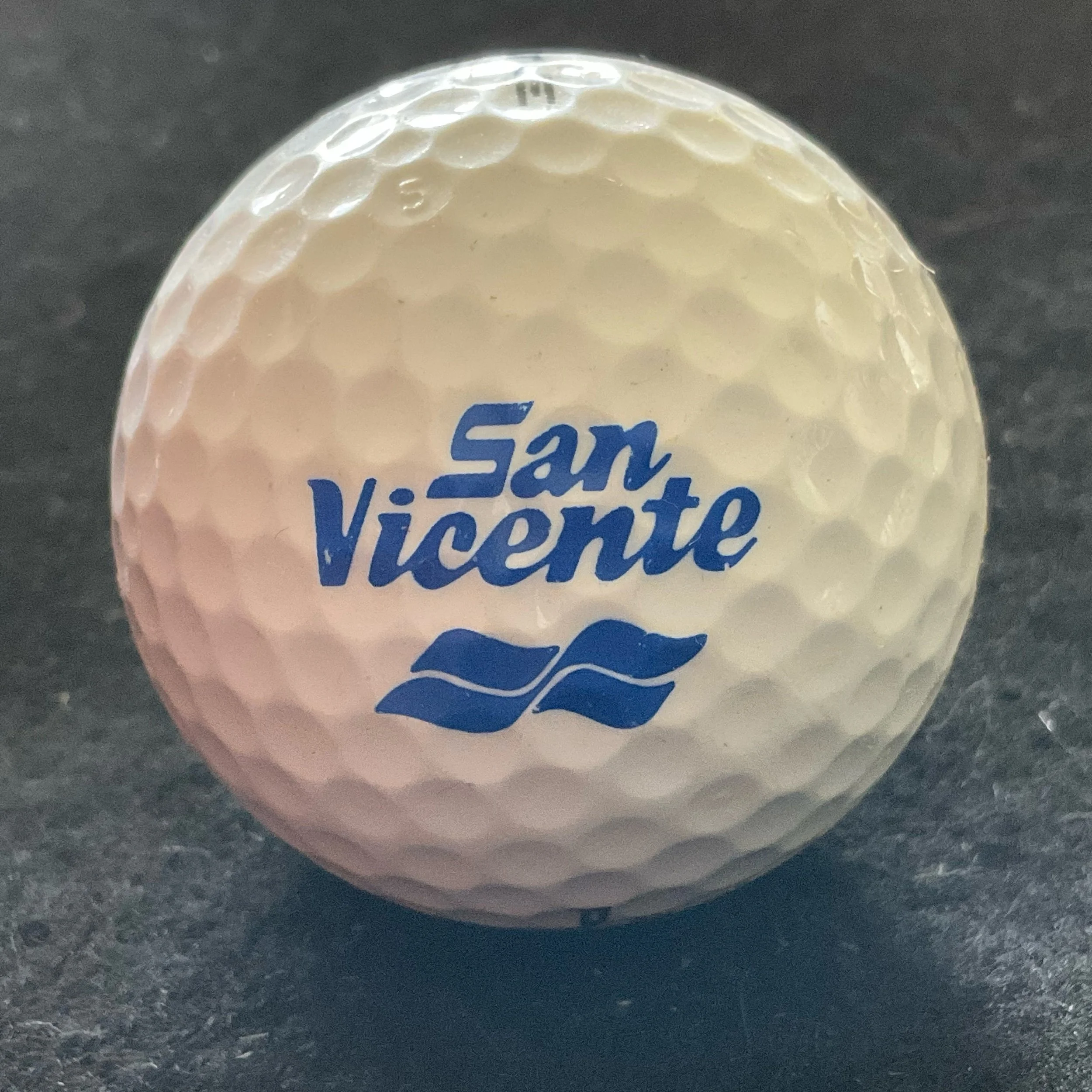 San Vicente Golf Resort