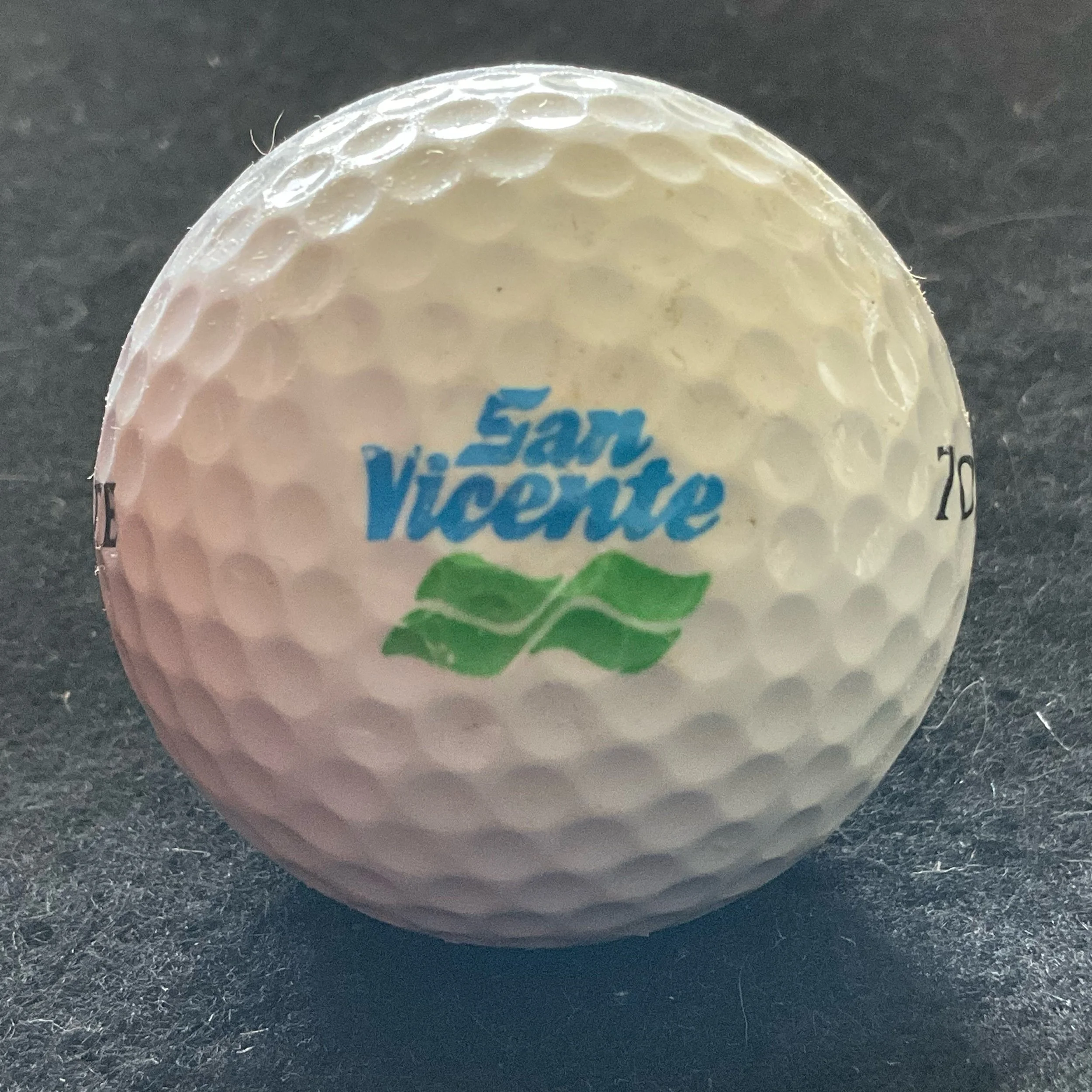 San Vicente Golf Resort