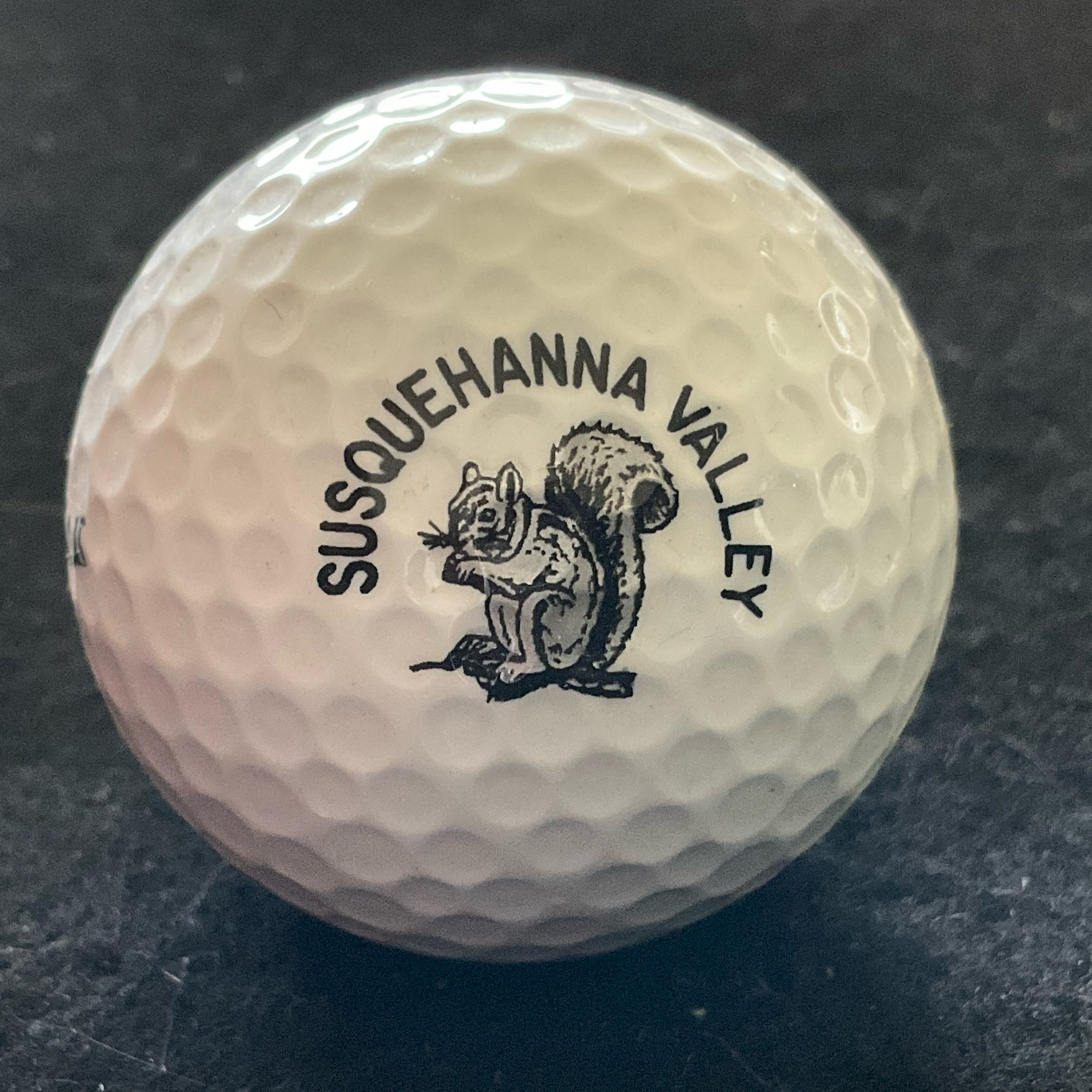 Susquehanna  Valley Country Club