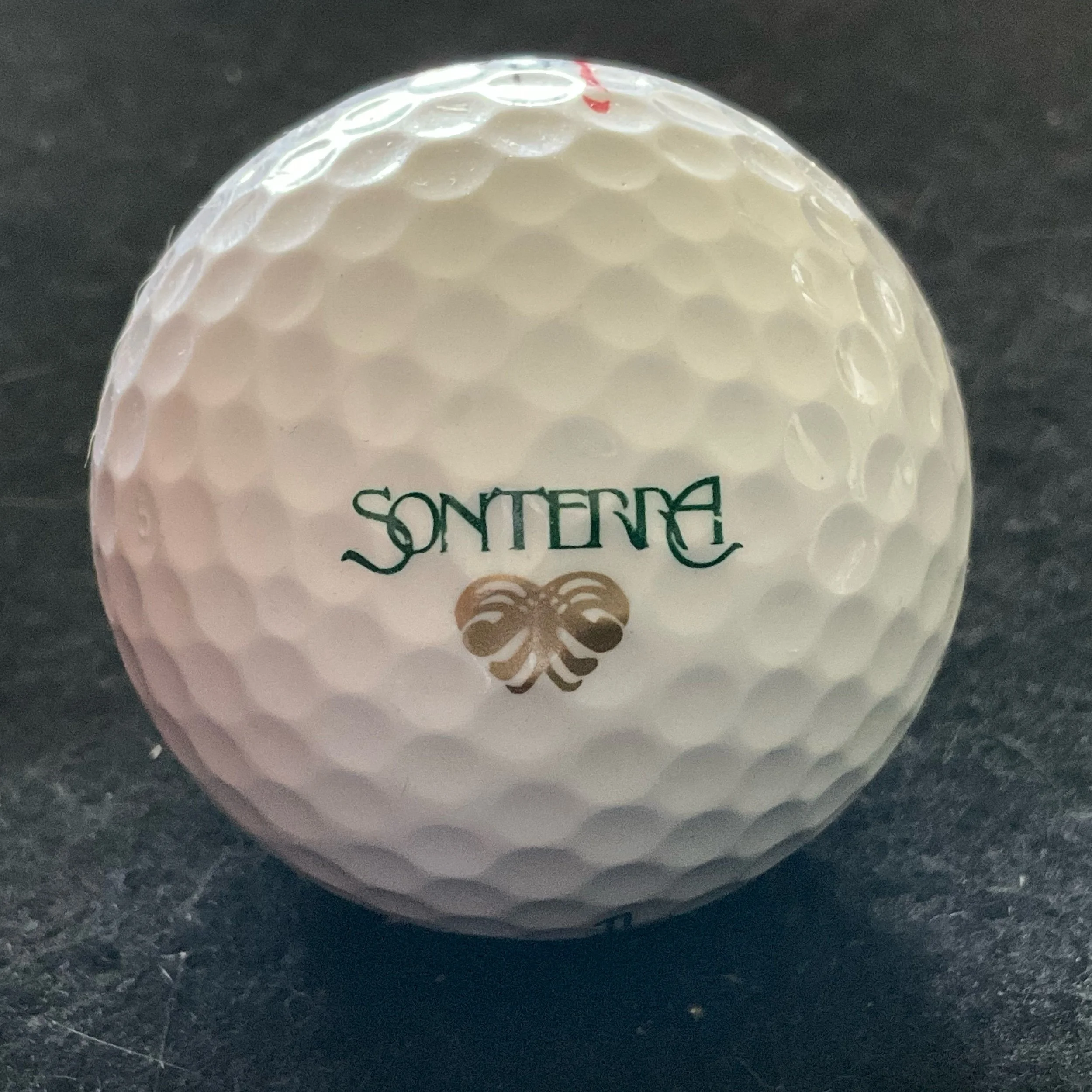 Sonterra - The Club at Sonterra