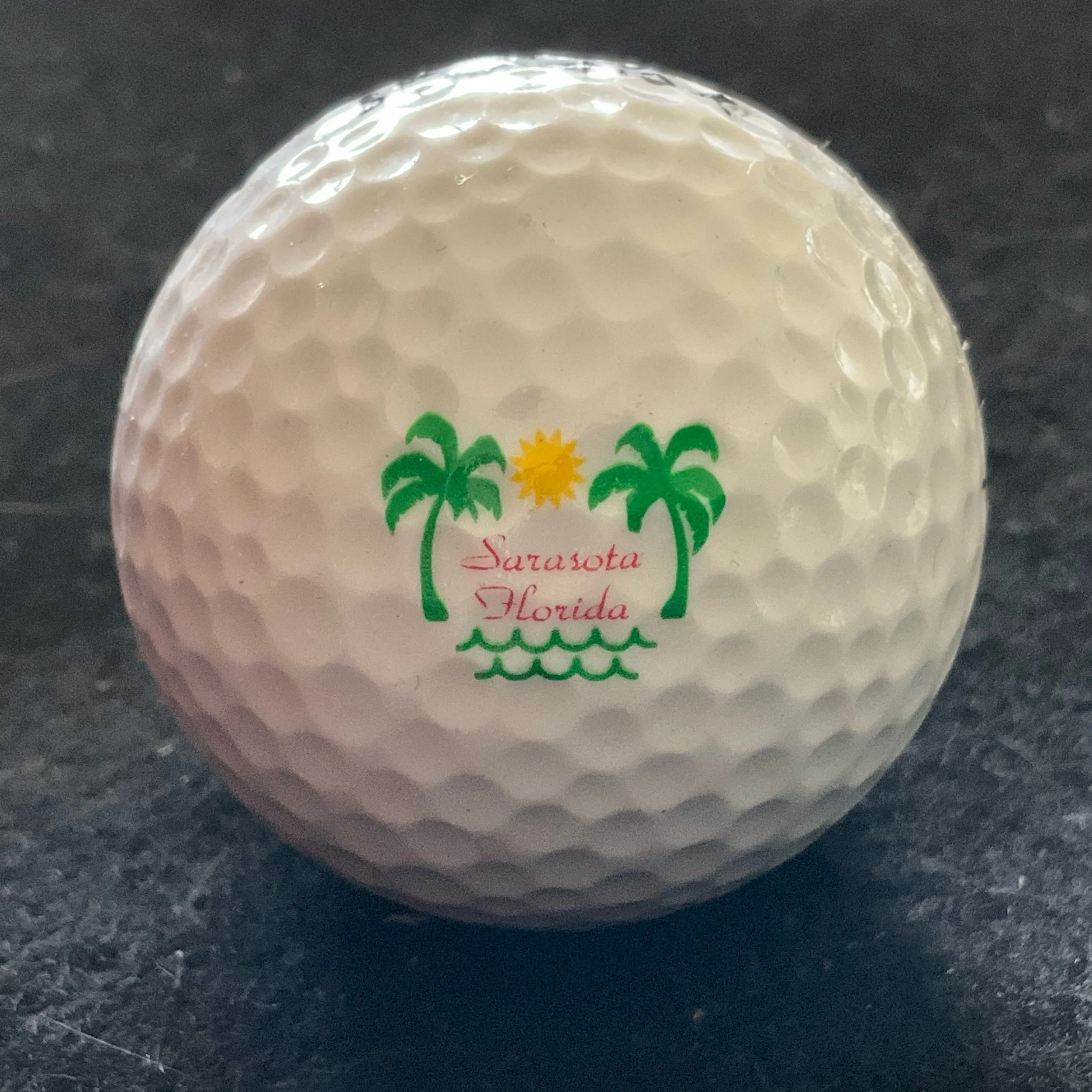 Sarasota National Golf Course