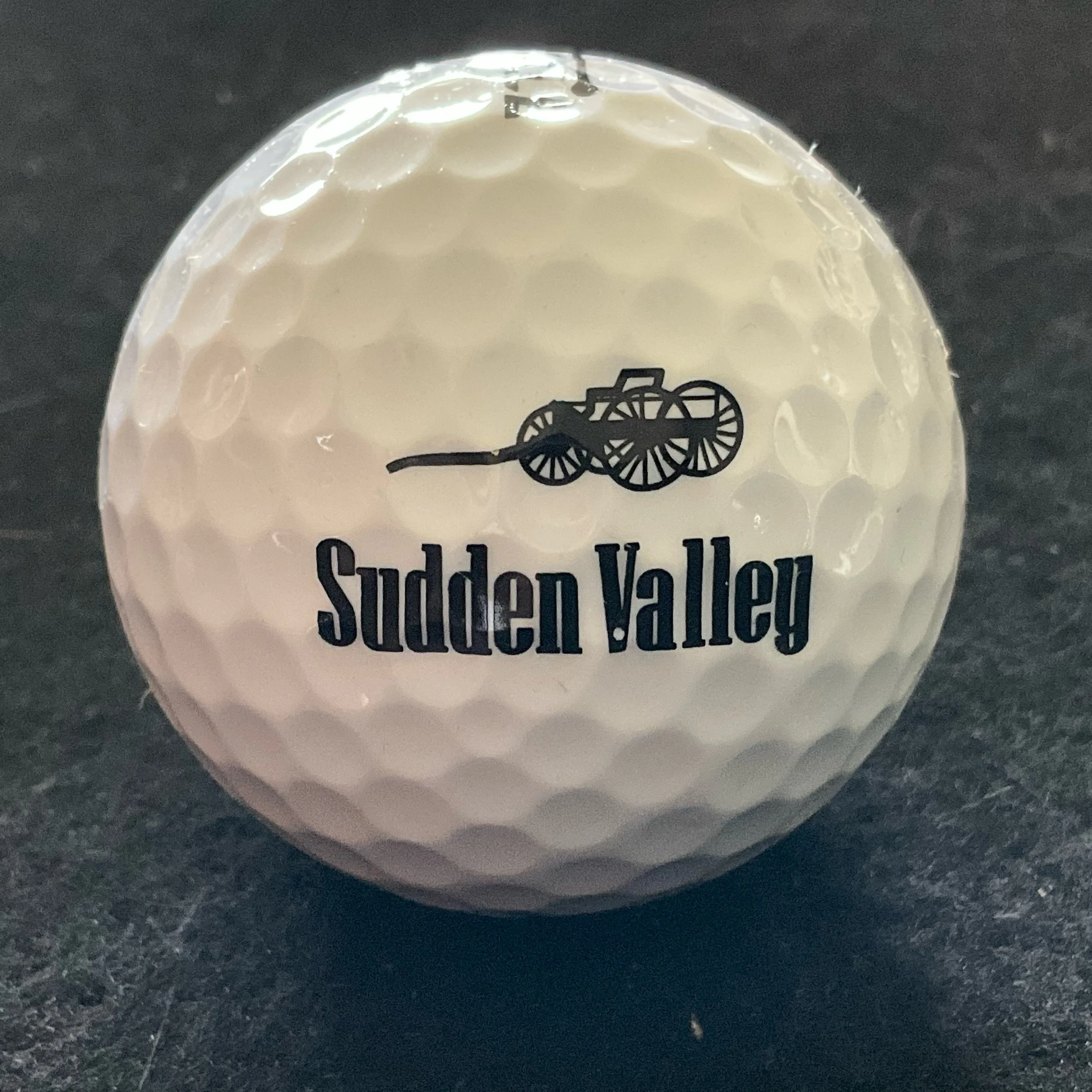 Sudden Valley Golf Club