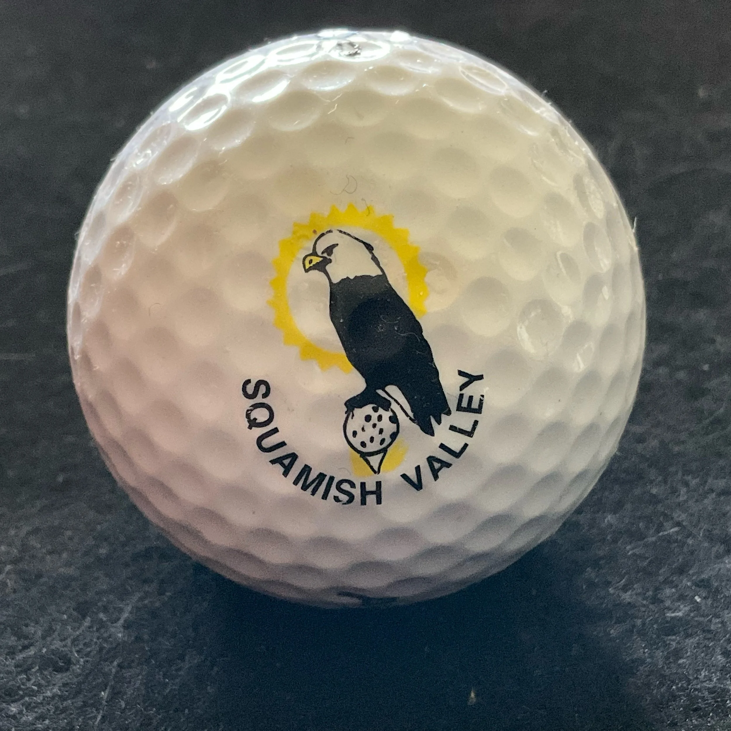 Squamish Valley Golf and Country Club