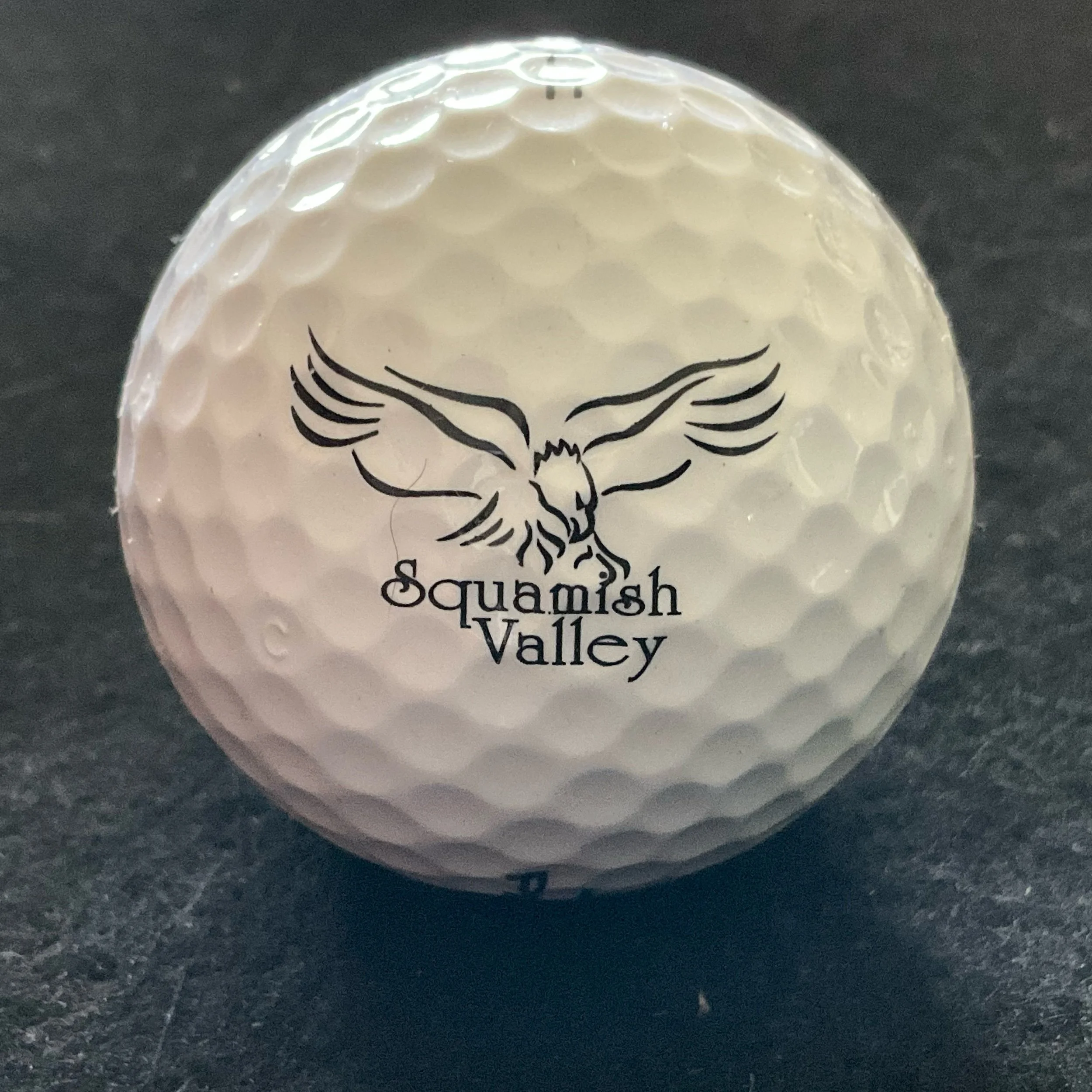 Squamish Valley Golf Club