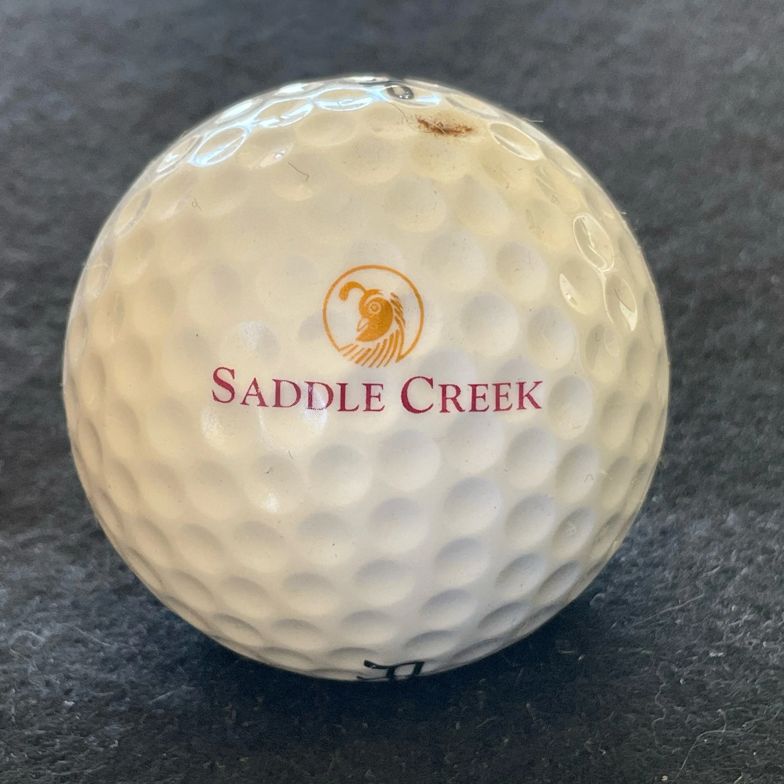 Saddle Creek Golf Club