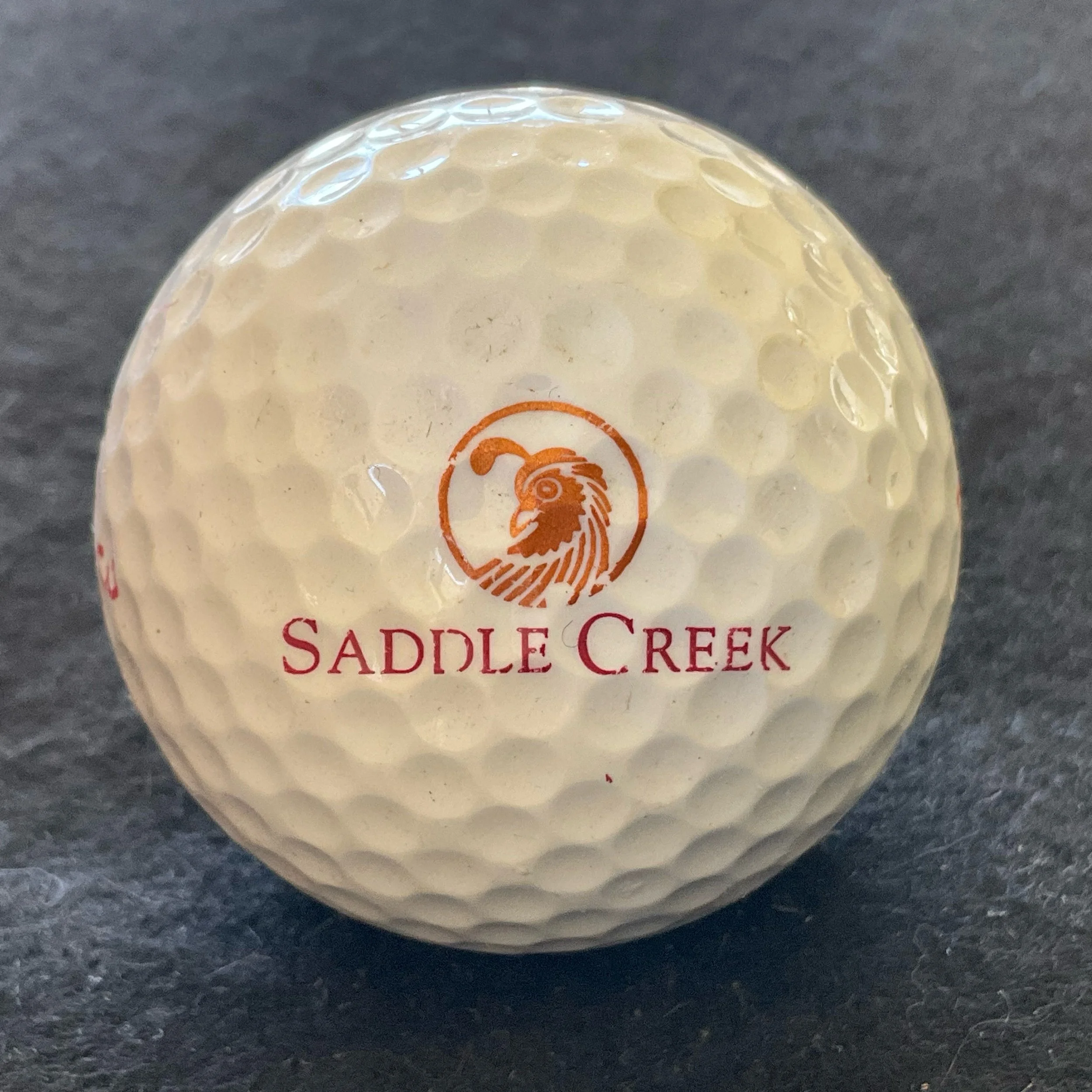 Saddle Creek Golf Club