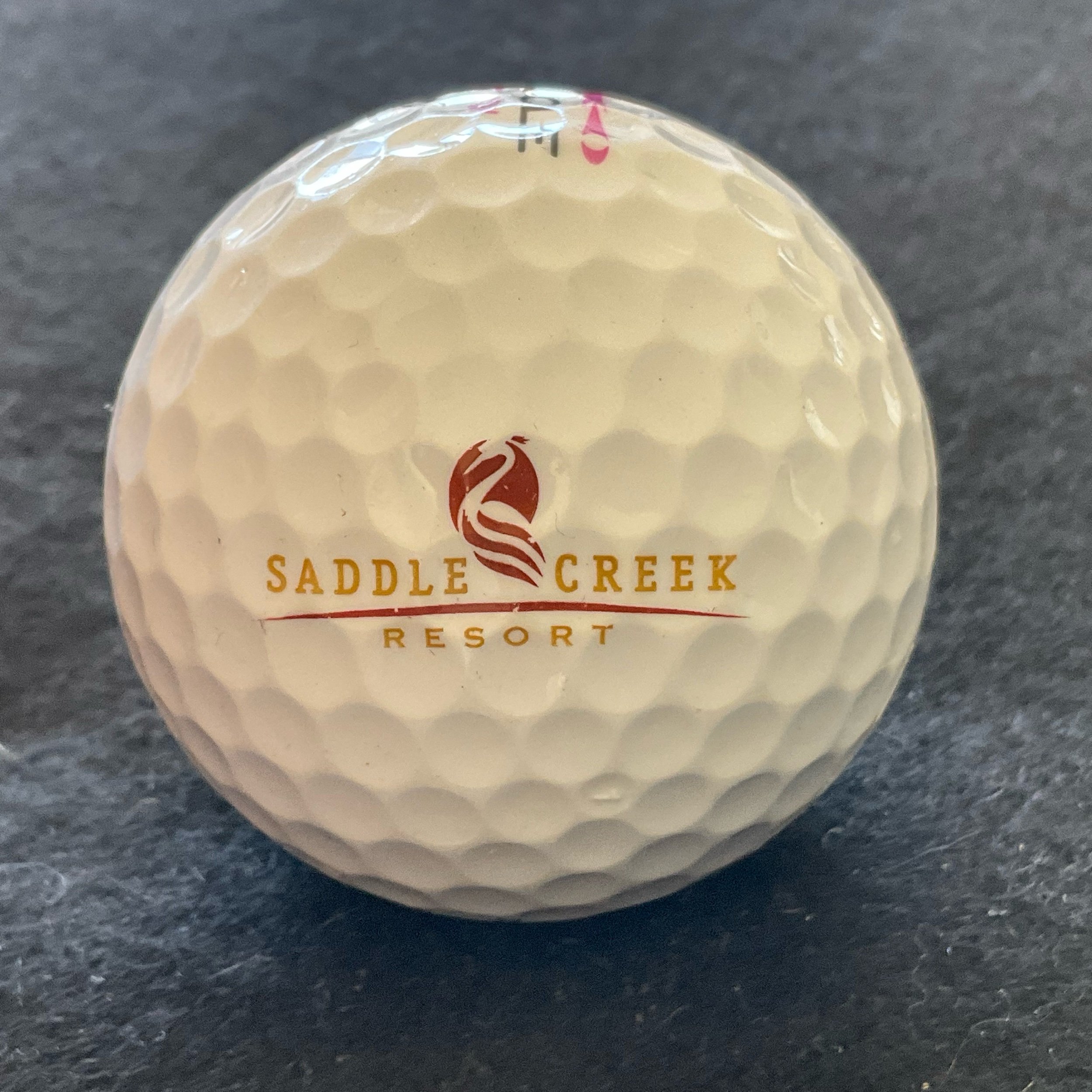Saddle Creek Resort