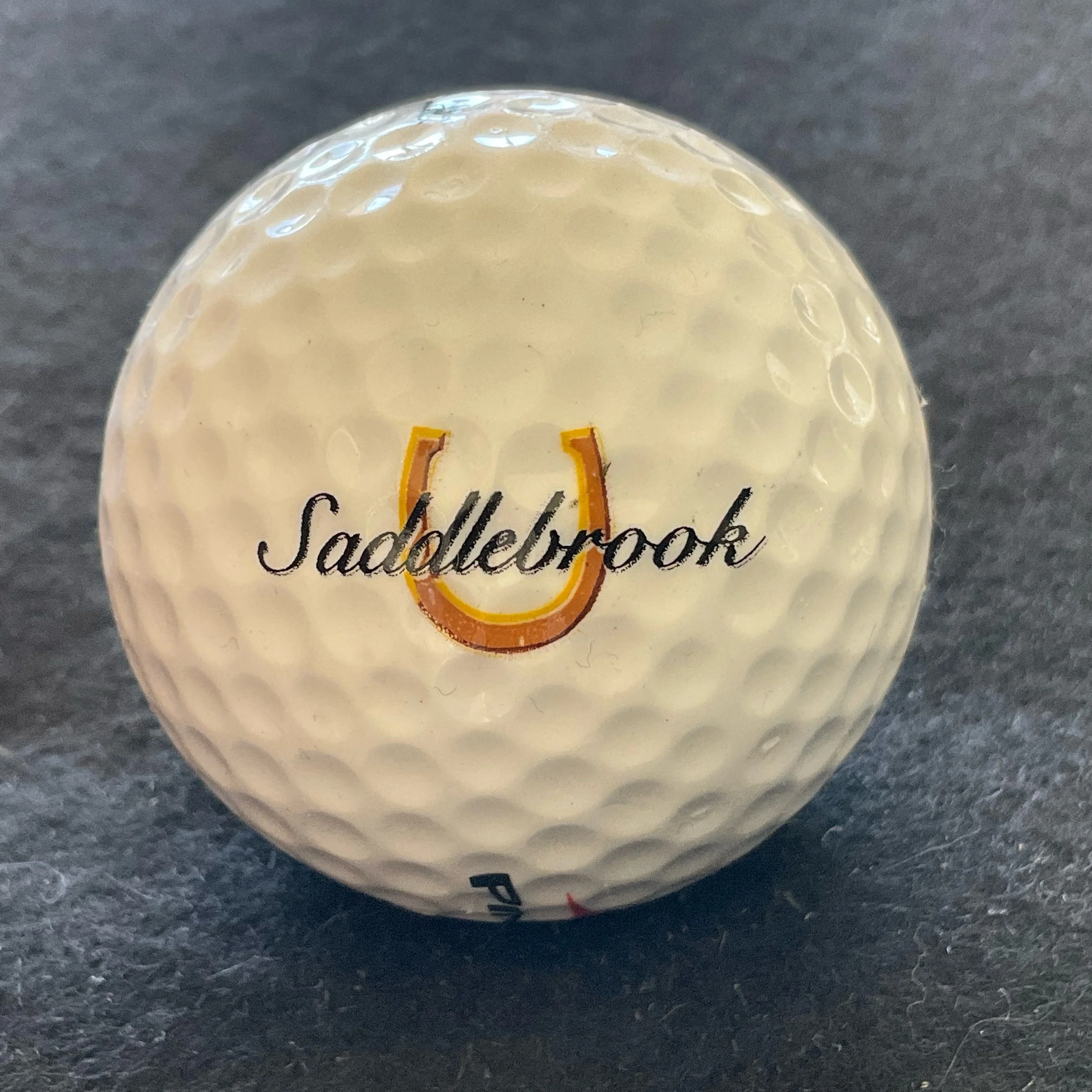 Saddlebrook Golf Course