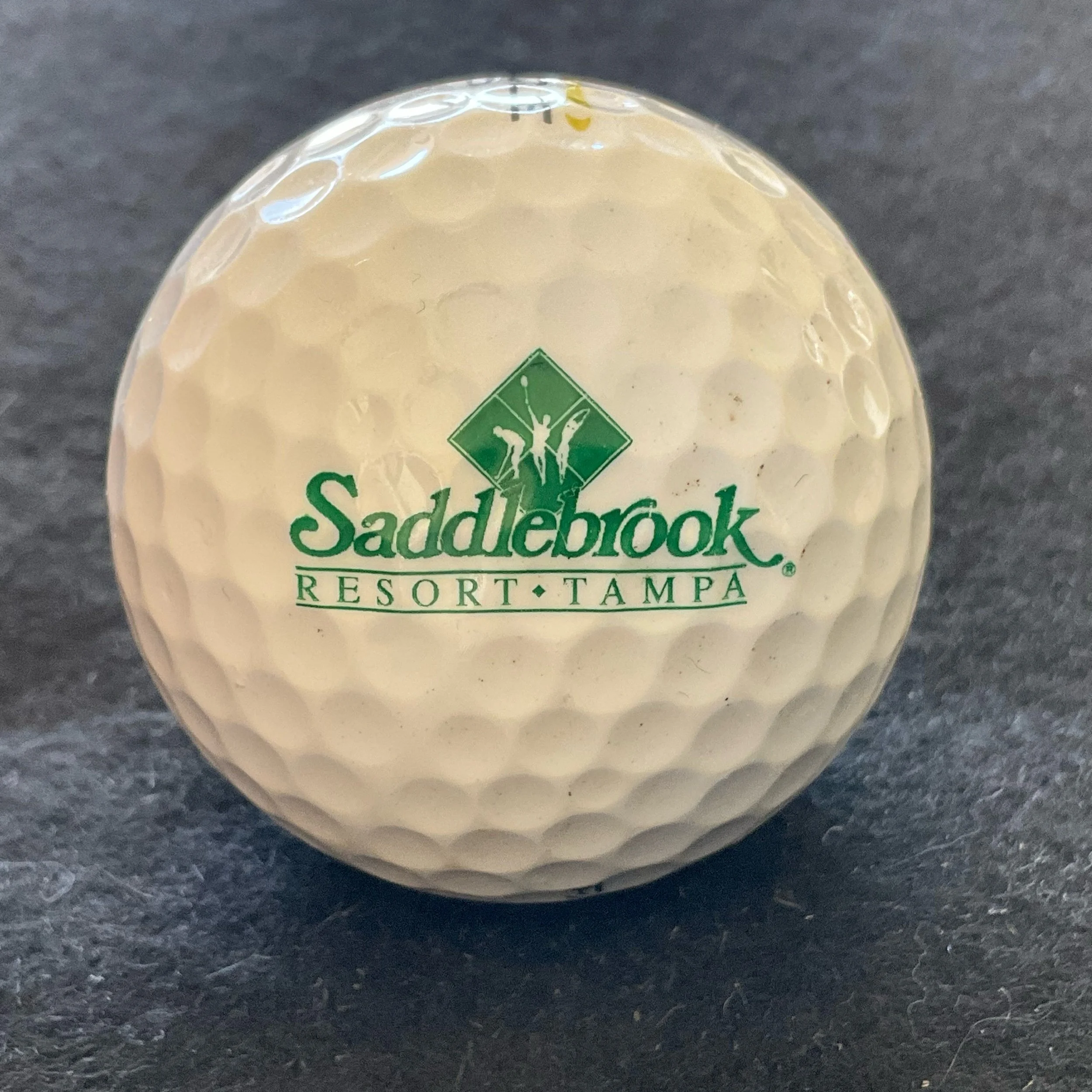 Saddlebrook Resort