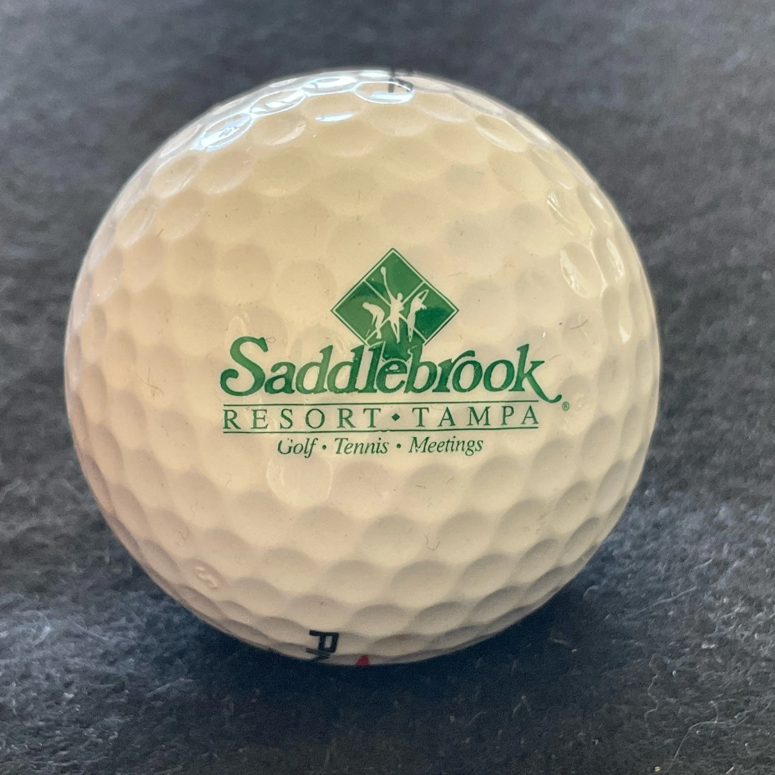 Saddlebrook Resort