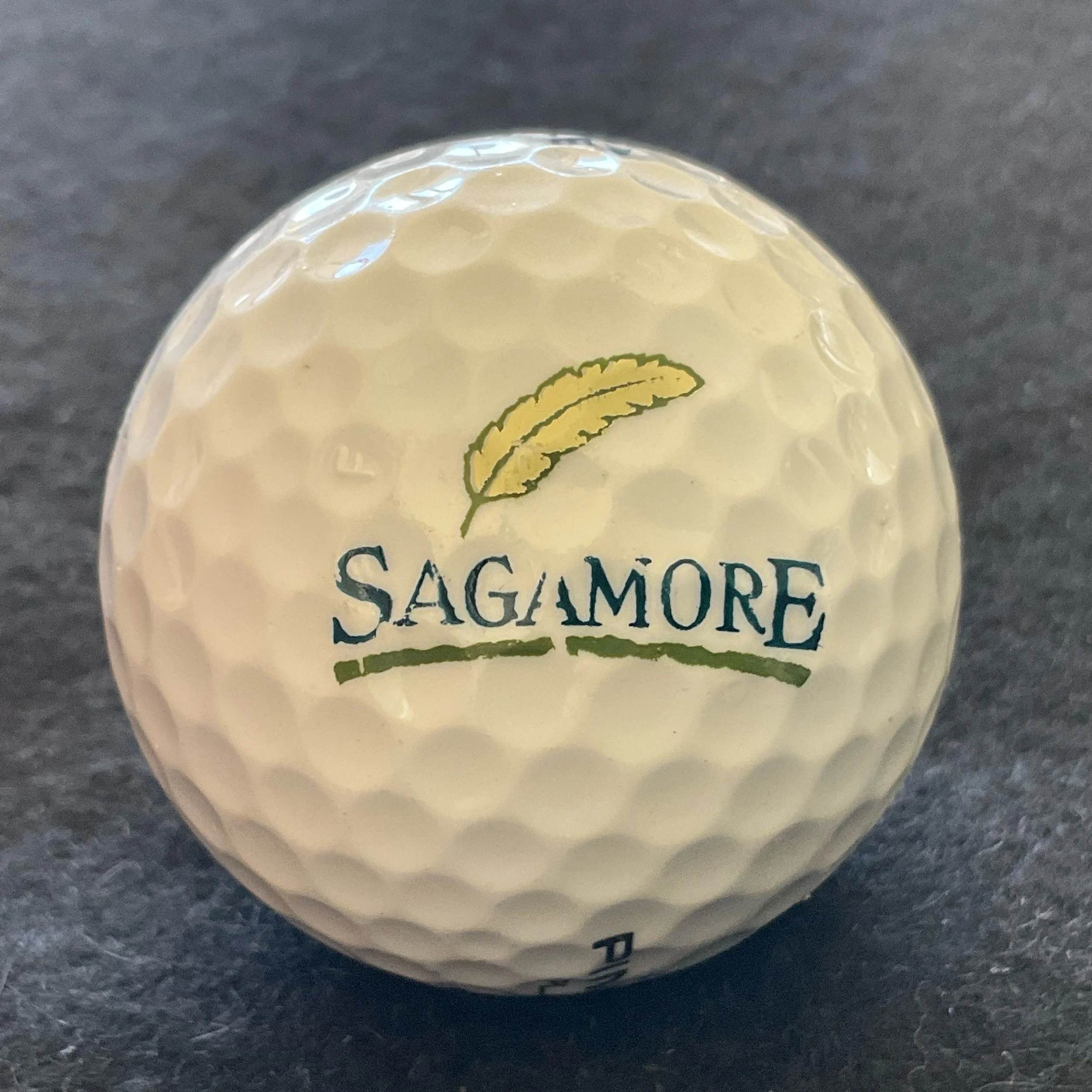 Sagamore Golf Club