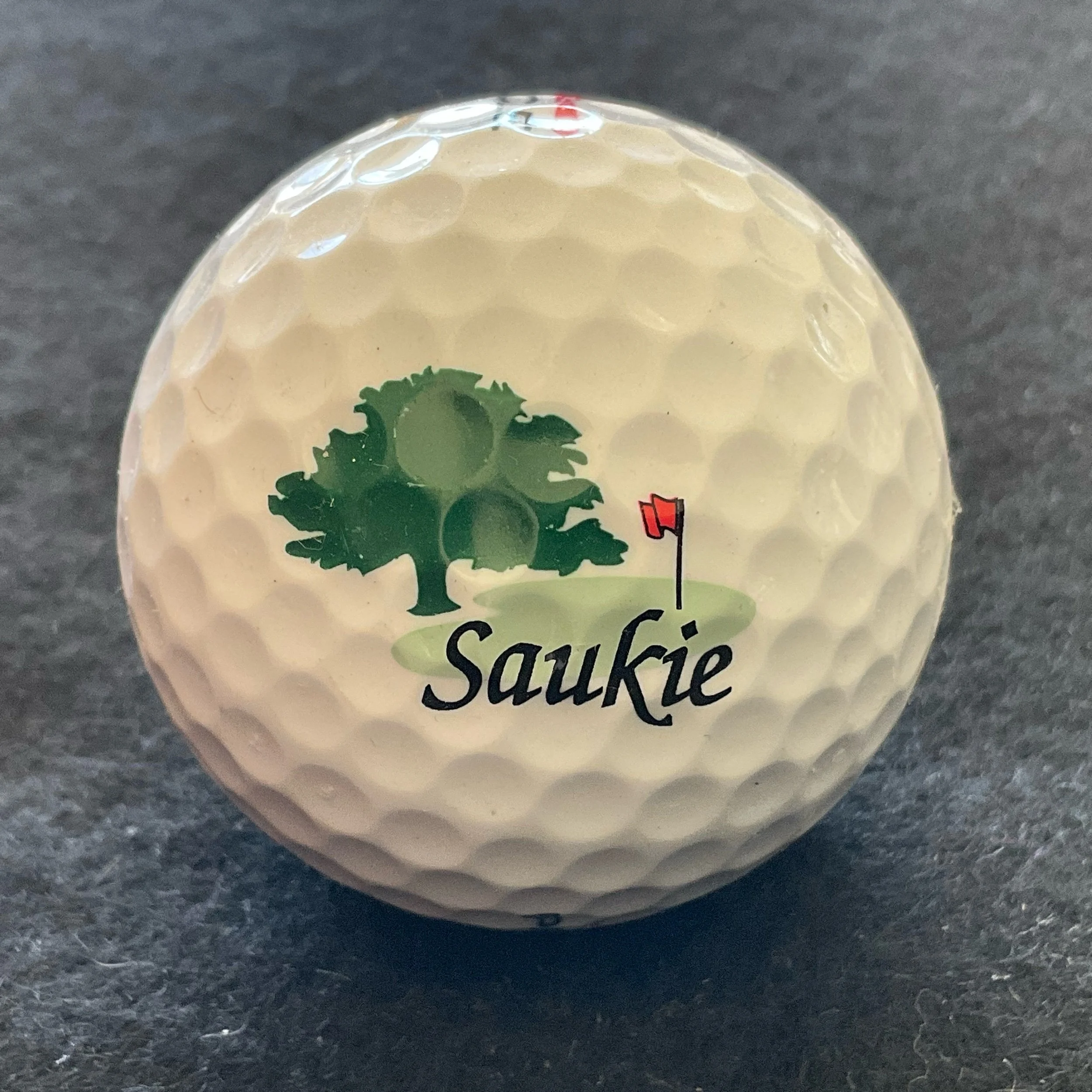 Saukie Golf Club