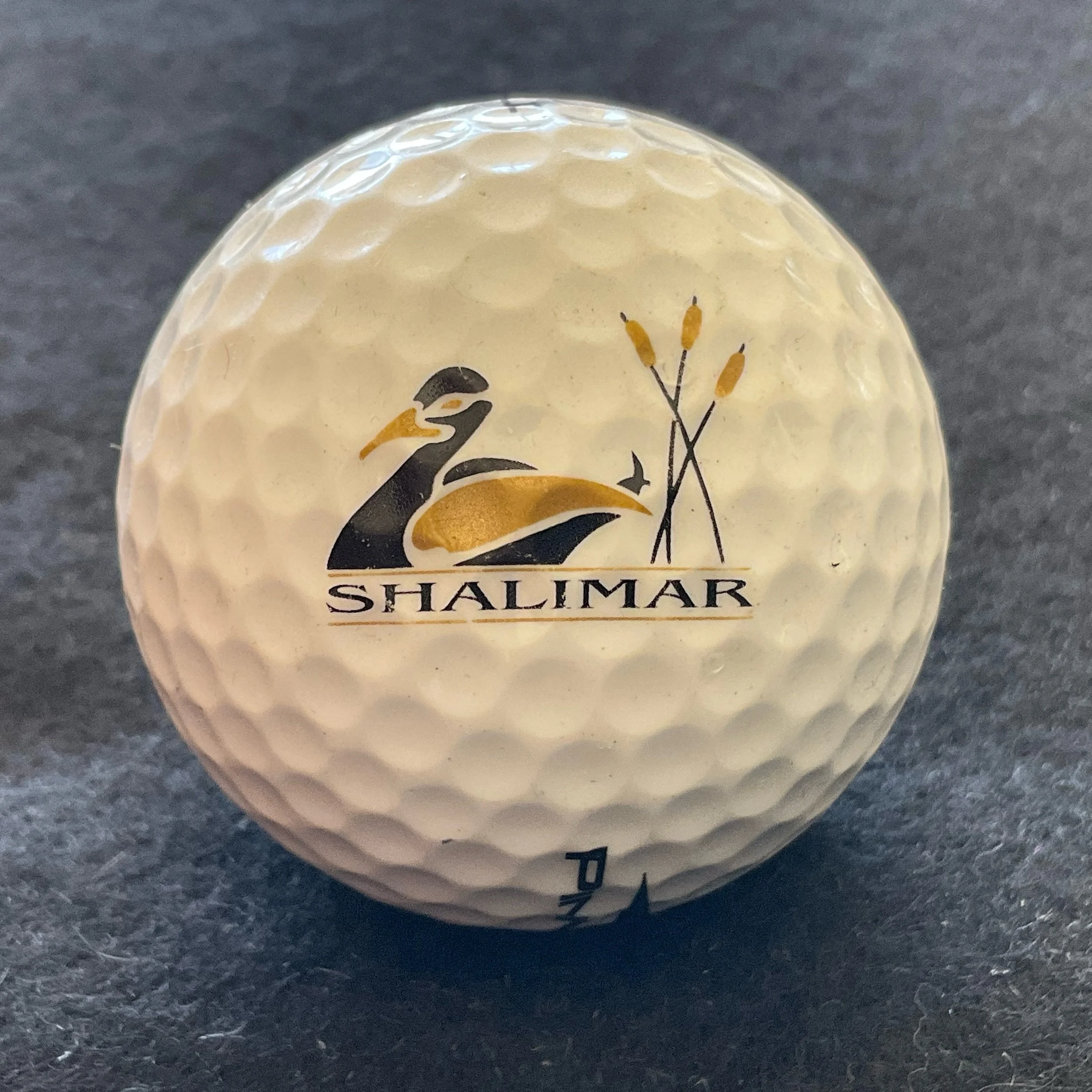 Shalimar Golf Course