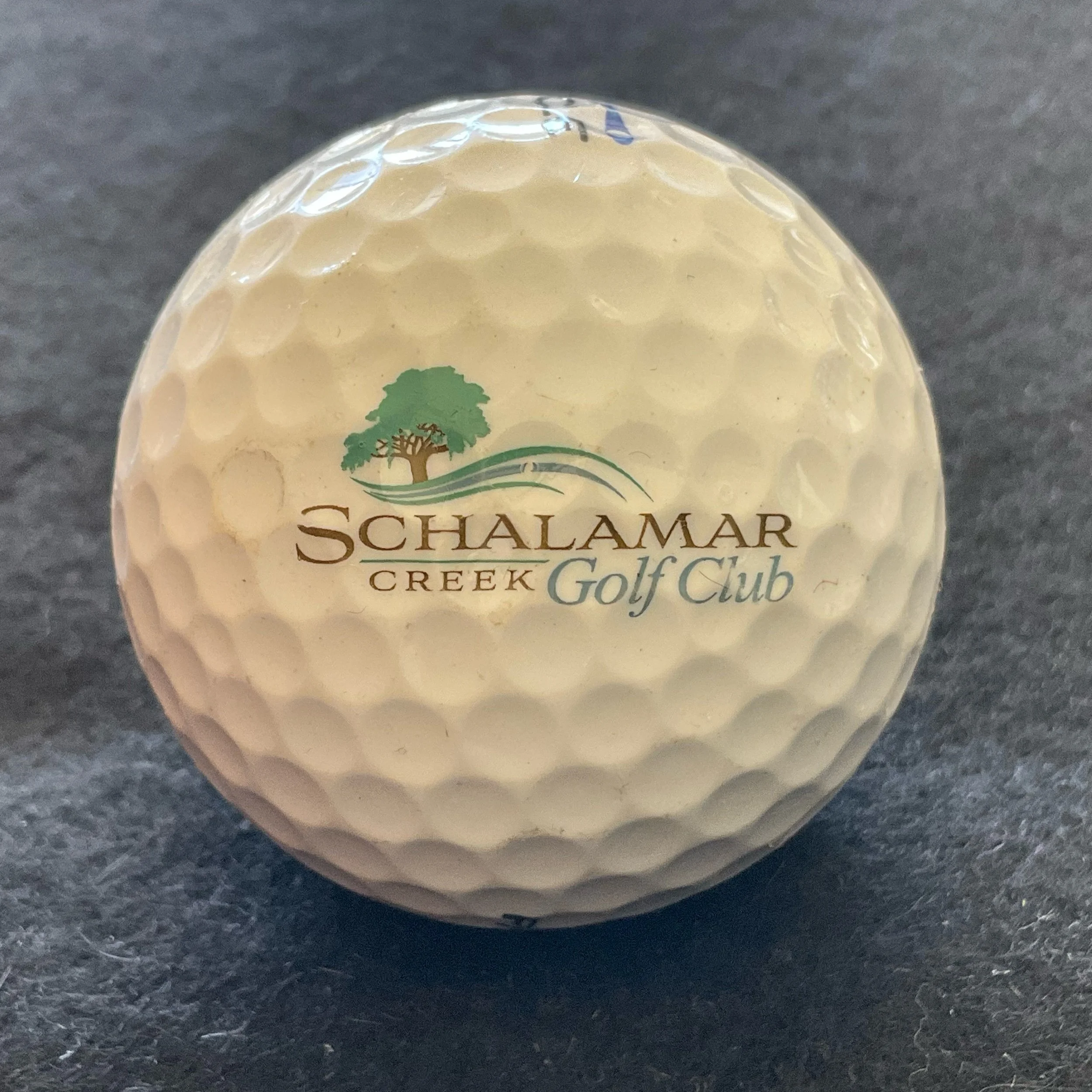 Schalamar Creek Golf Club