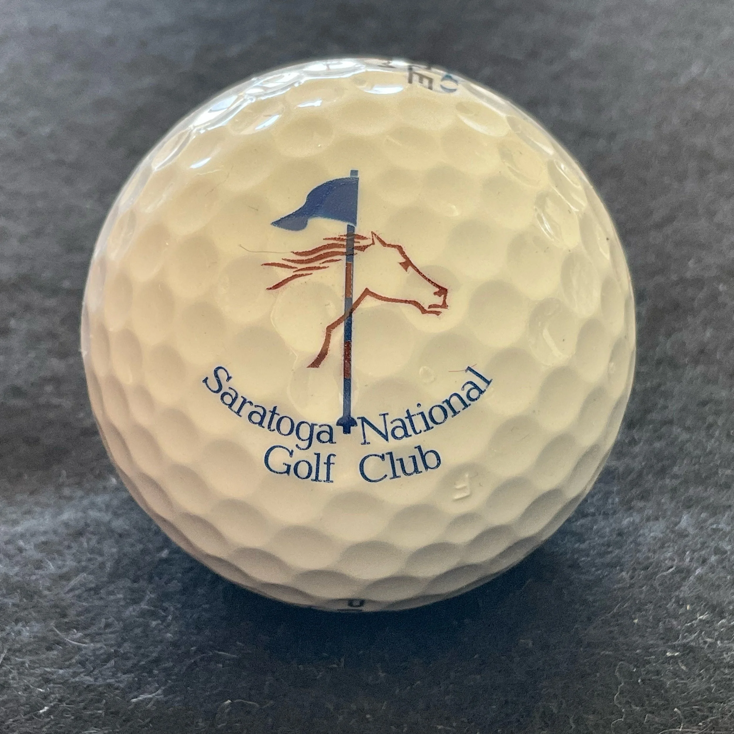 Saratoga National Golf Club