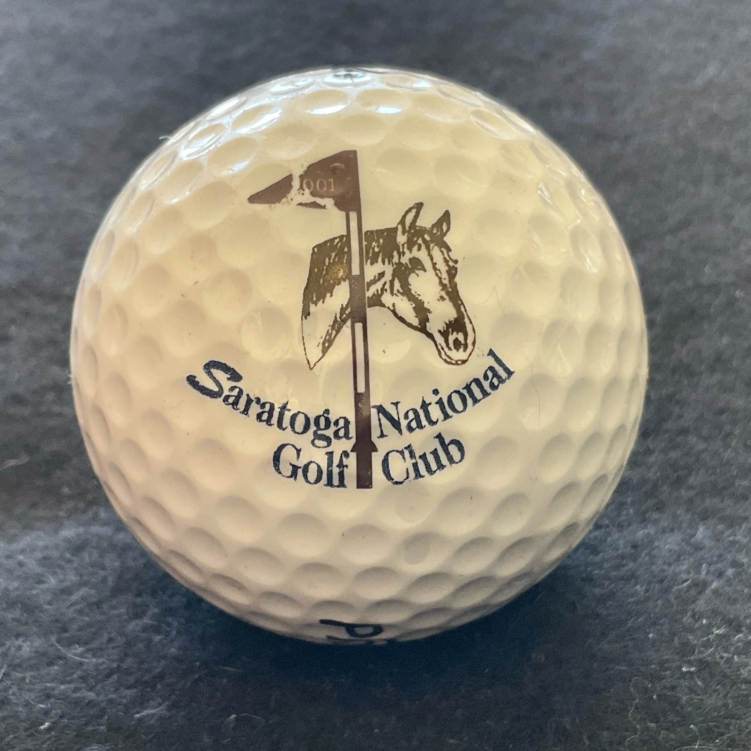 Saratoga National Golf Club
