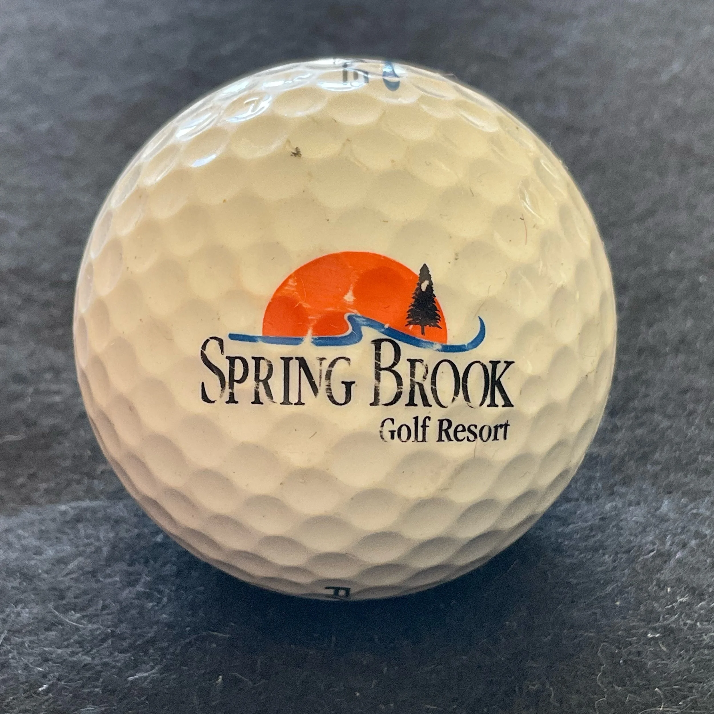 Spring Brook Golf Resort