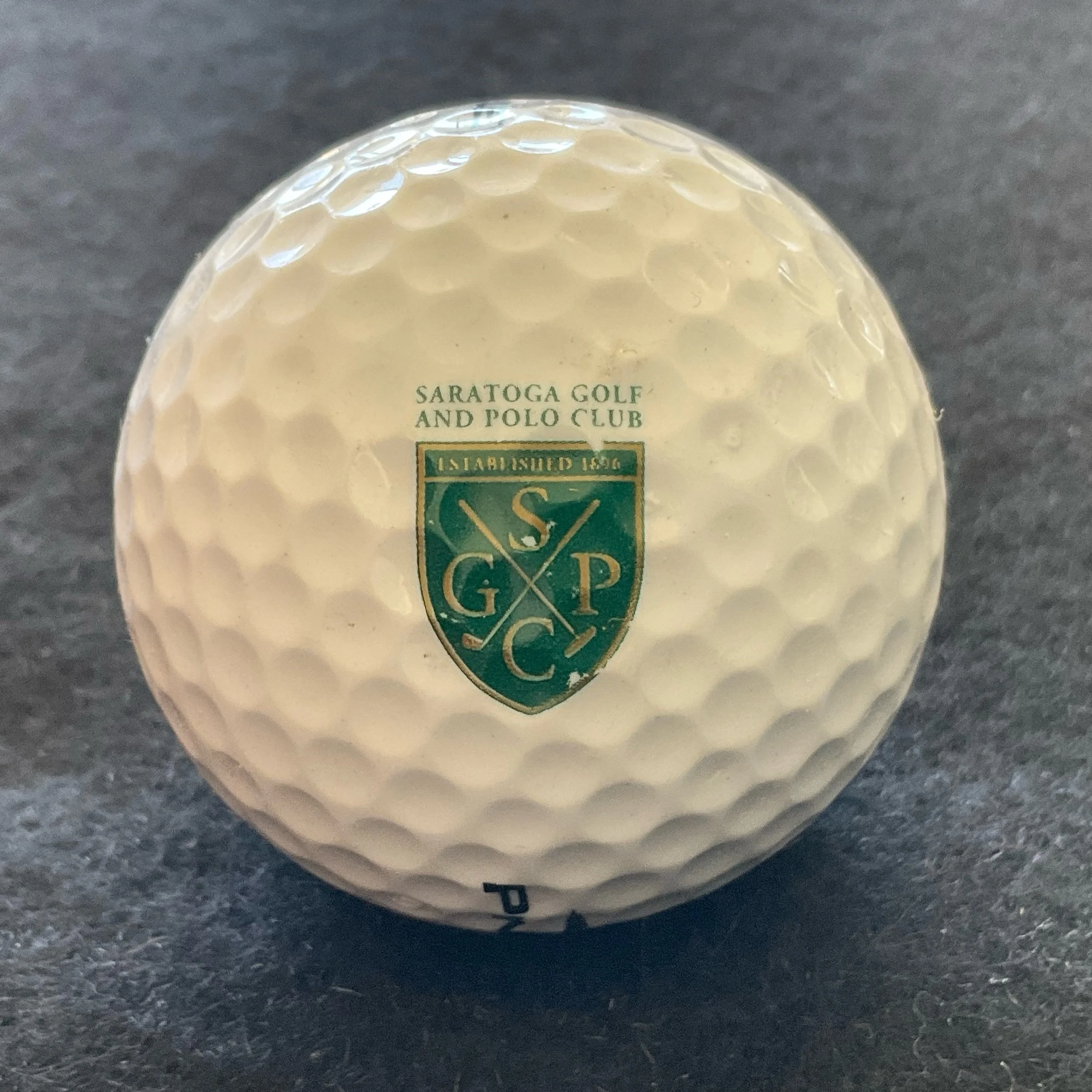 Saratoga Golf and Polo Club