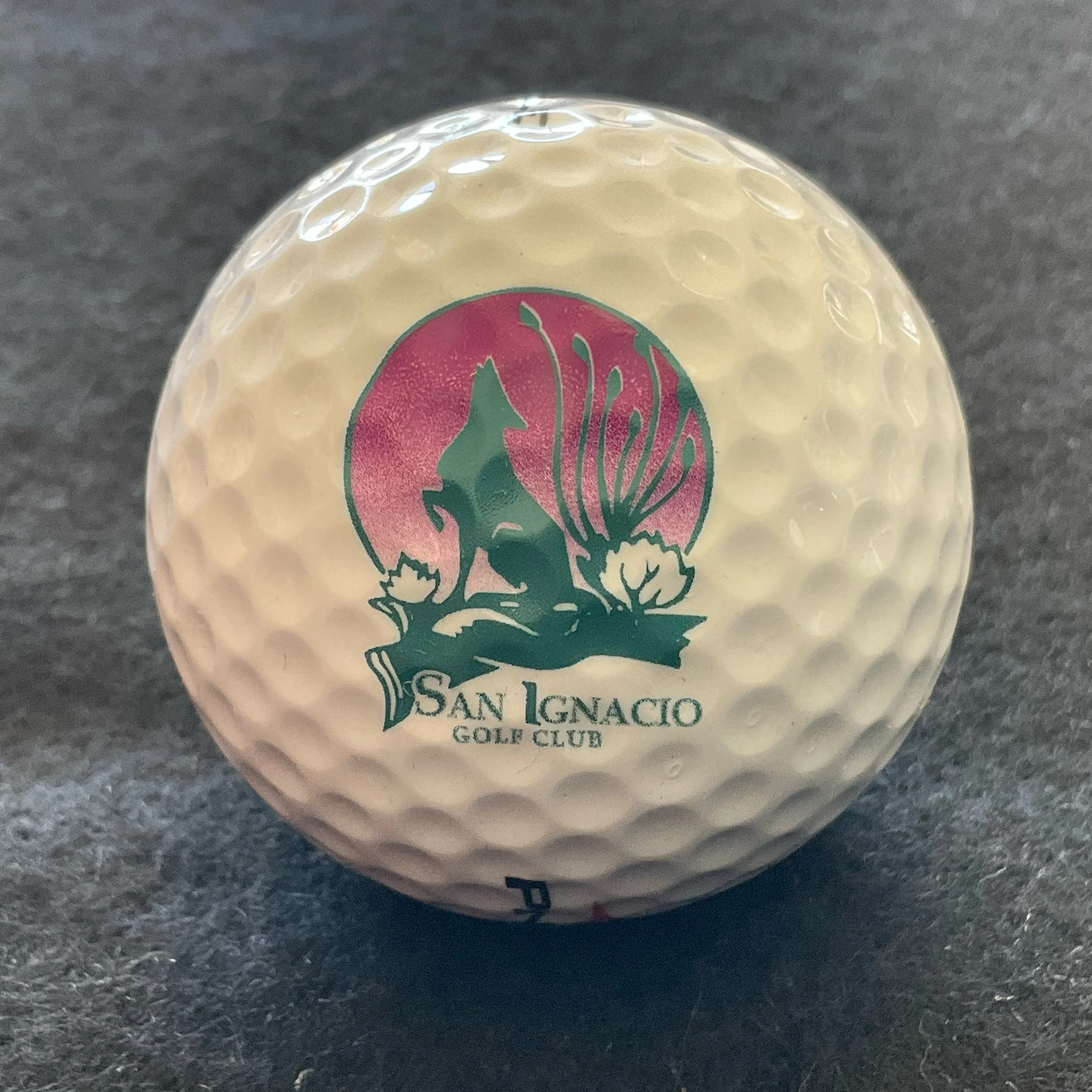 San Ignacio Golf Club