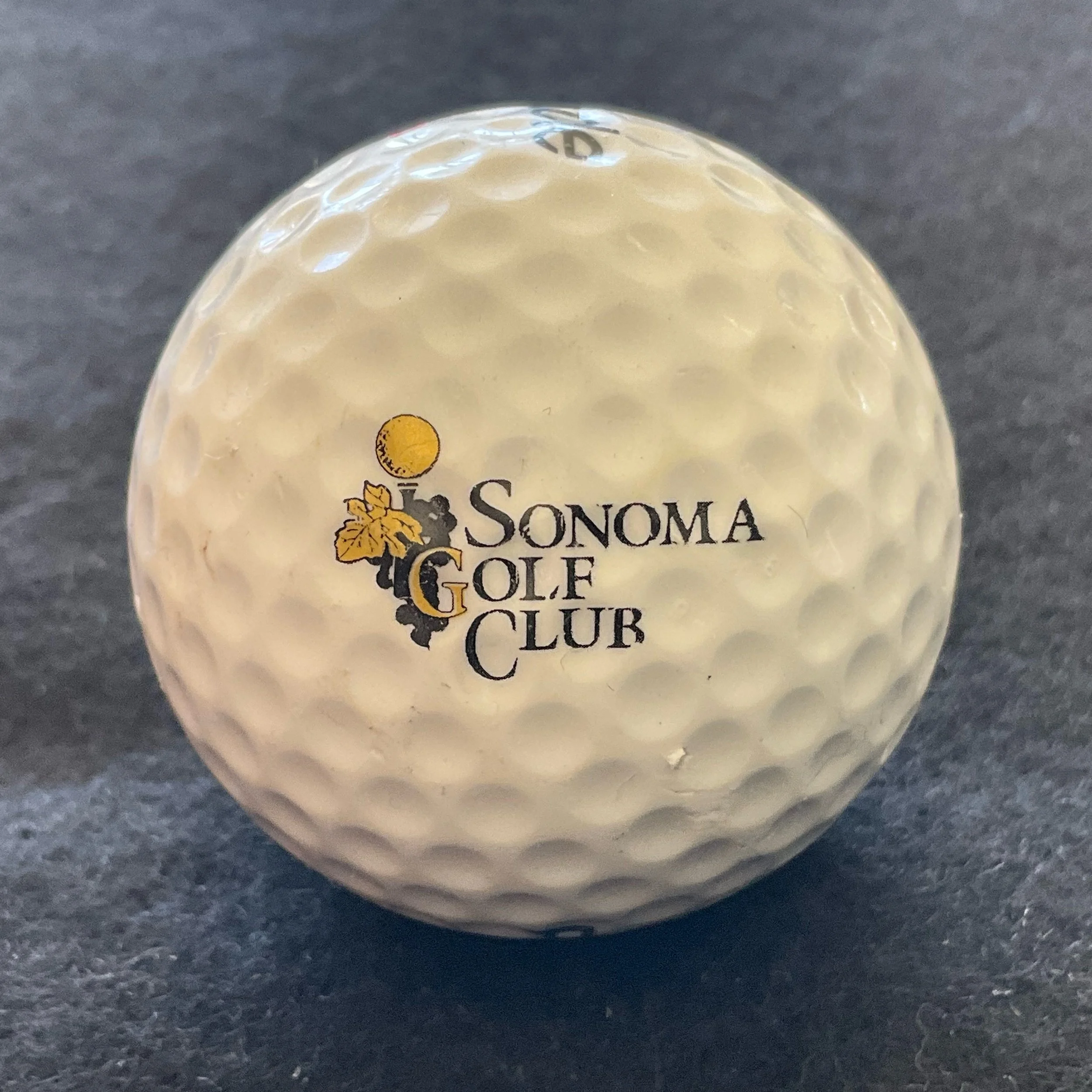 Sonoma Golf Club