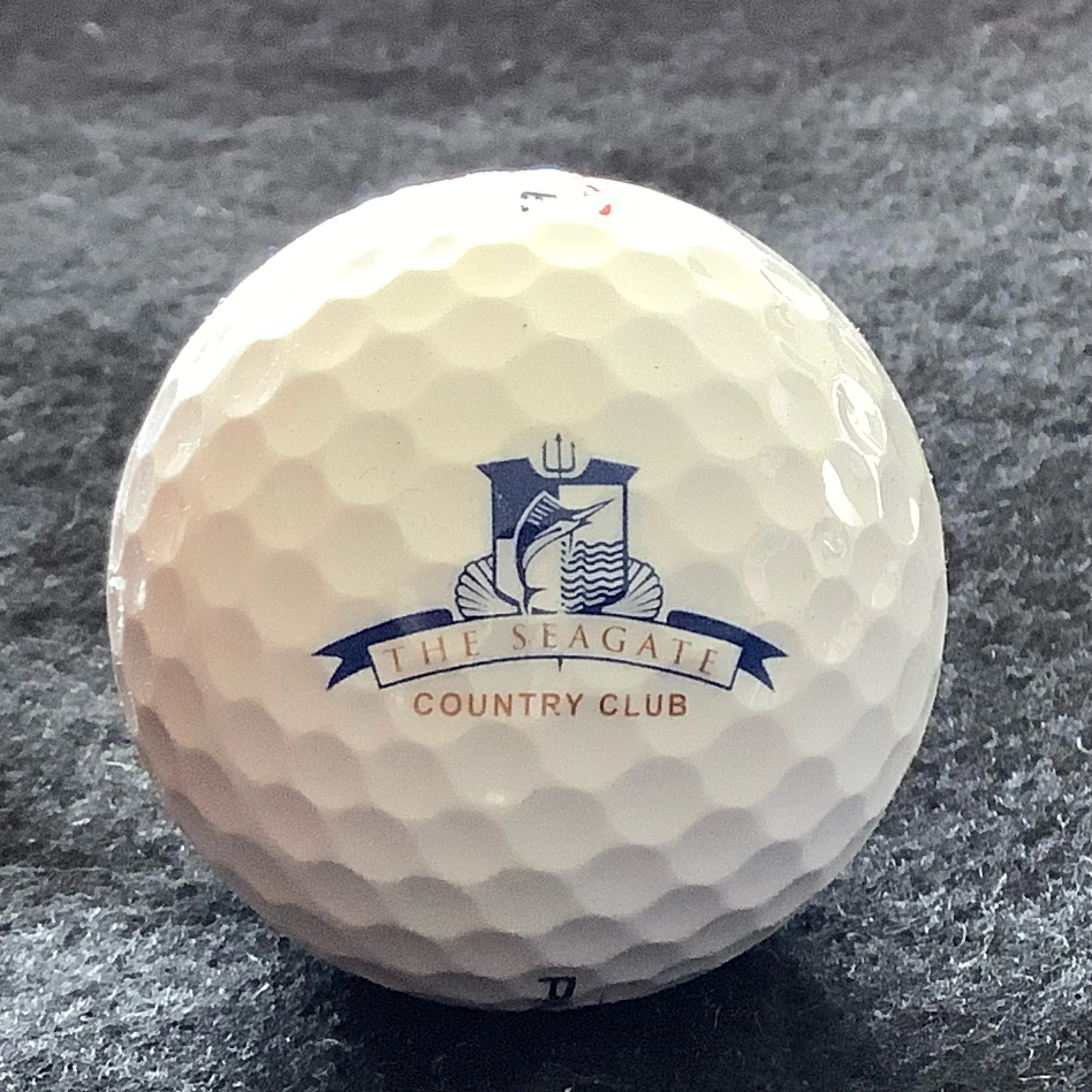 Seagate - The Seagate Country Club