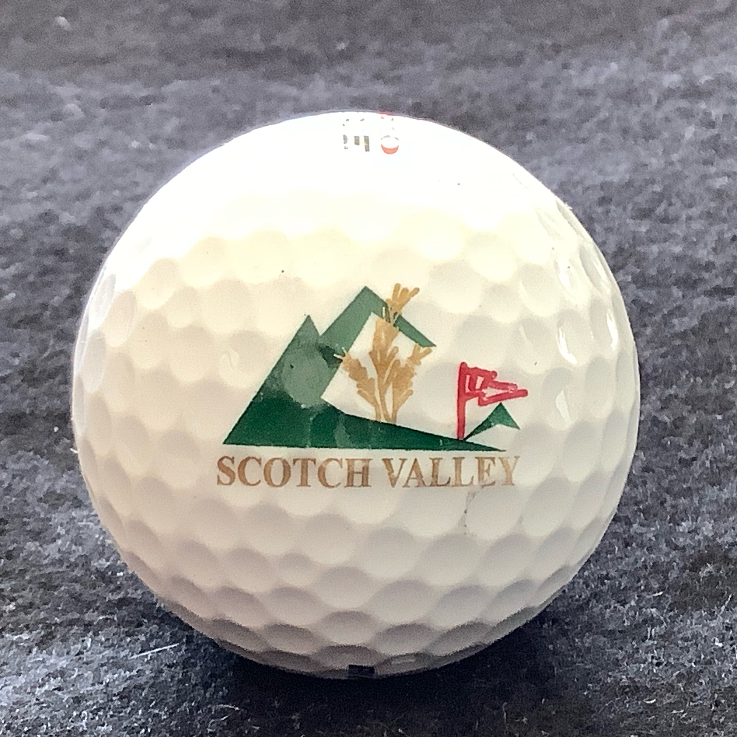 Scotch Valley Country Club