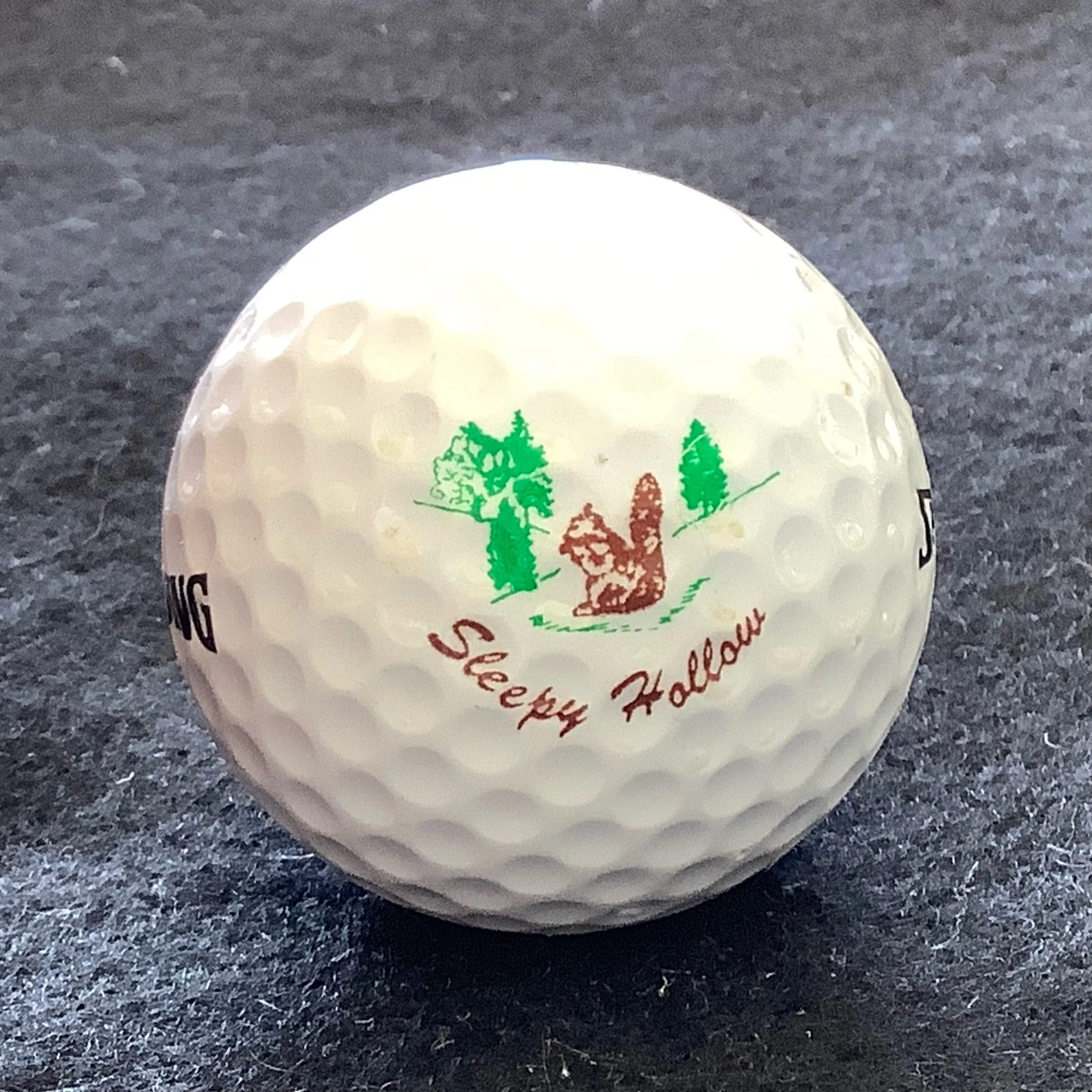 Sleepy Hollow Golf Club