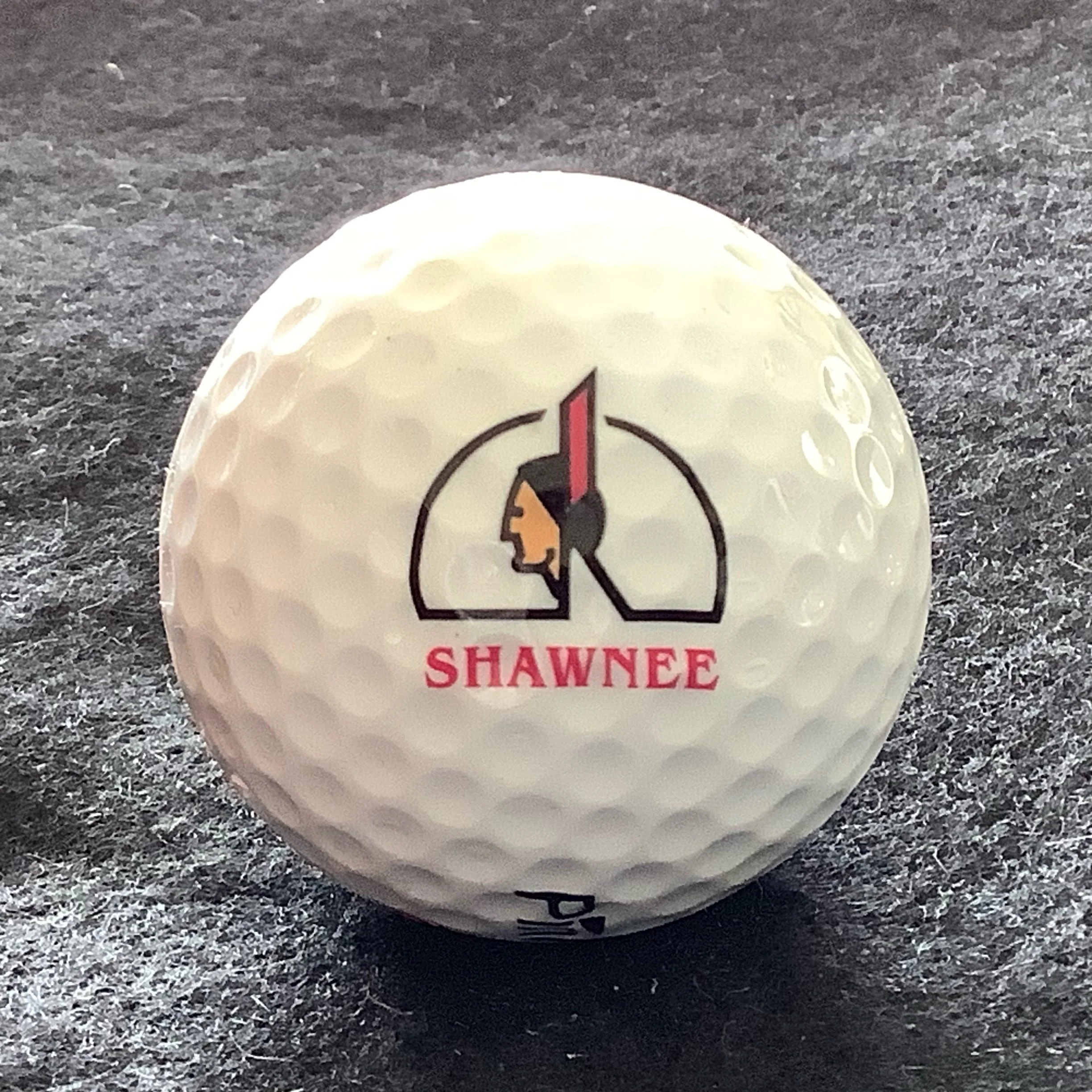 Shawnee - The Shawnee Inn and Golf Resort