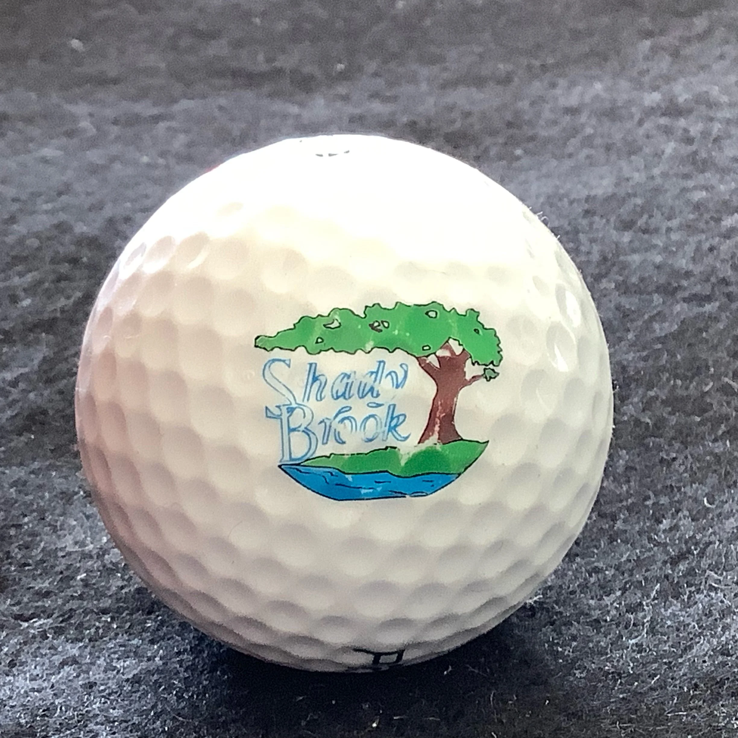 Shady Brook Golf and RV Resort