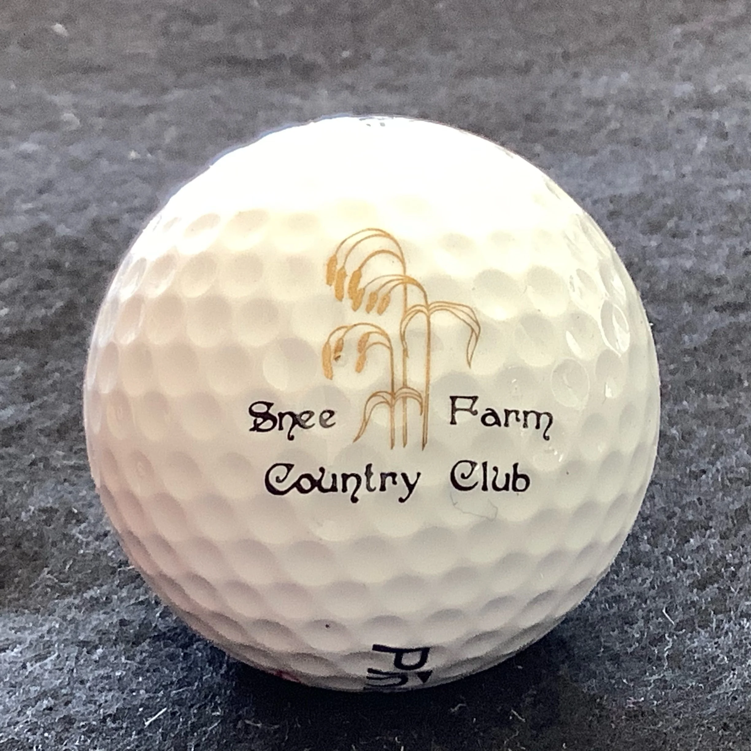 Snee Farm Country Club