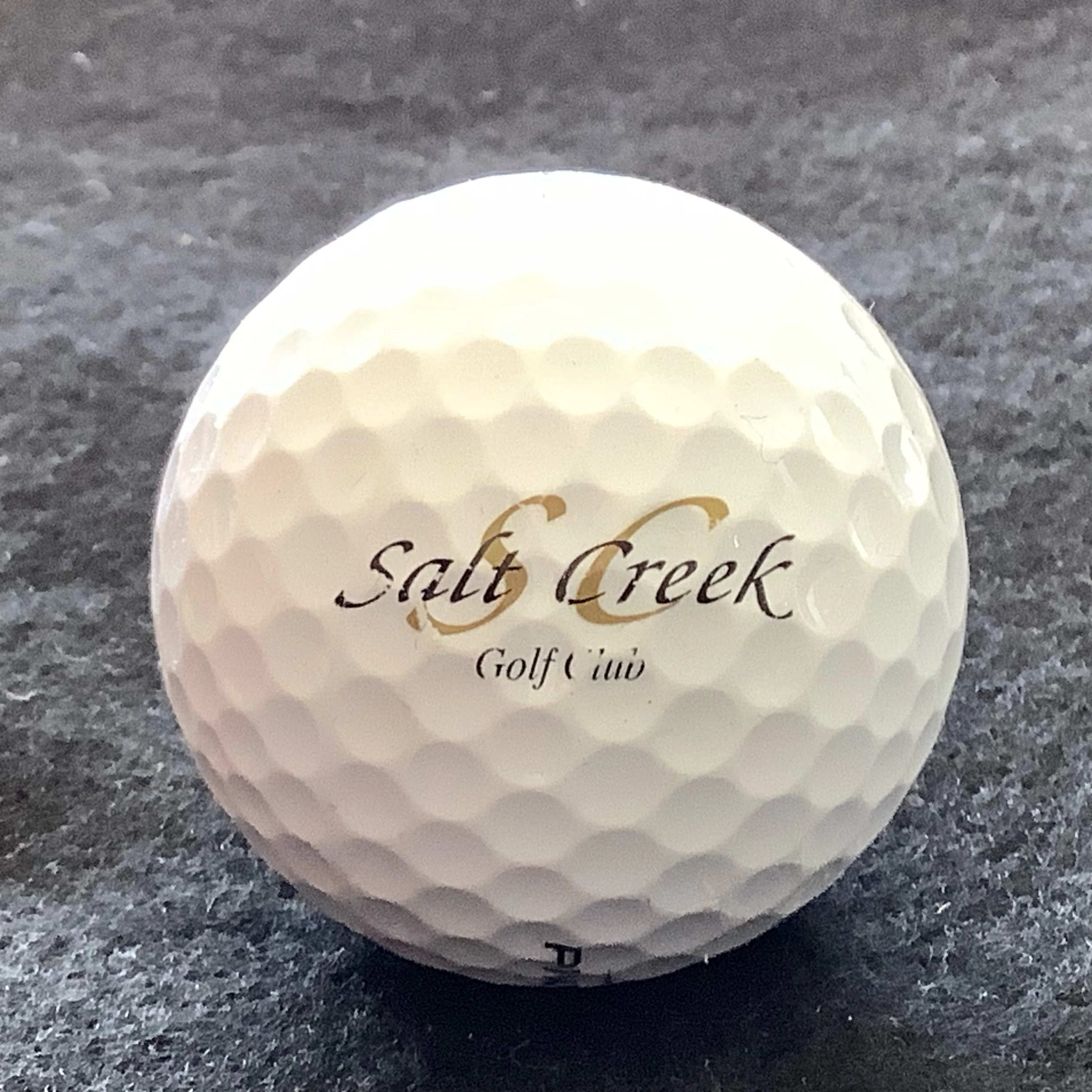 Salt Creek Golf Club
