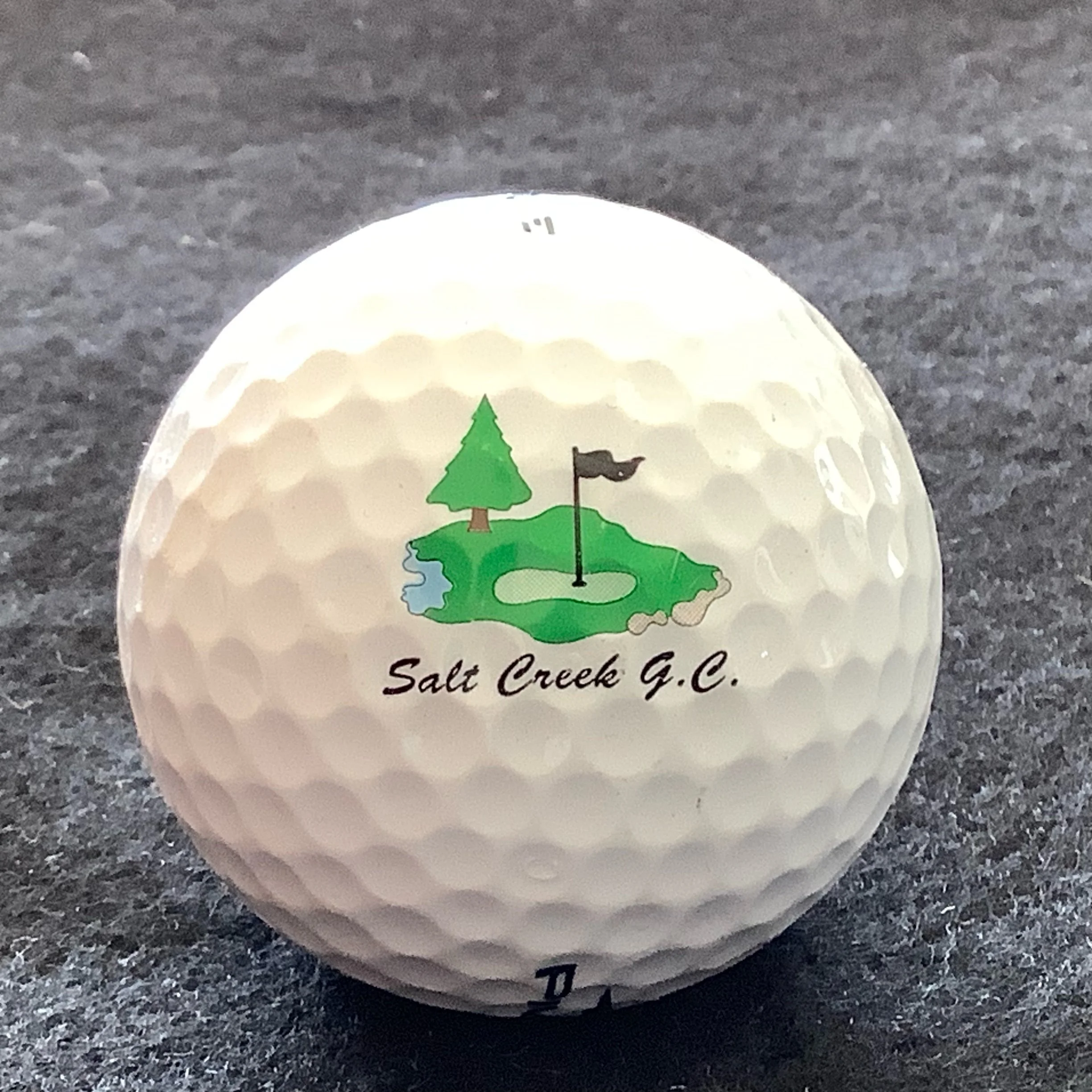 Salt Creek Golf Club