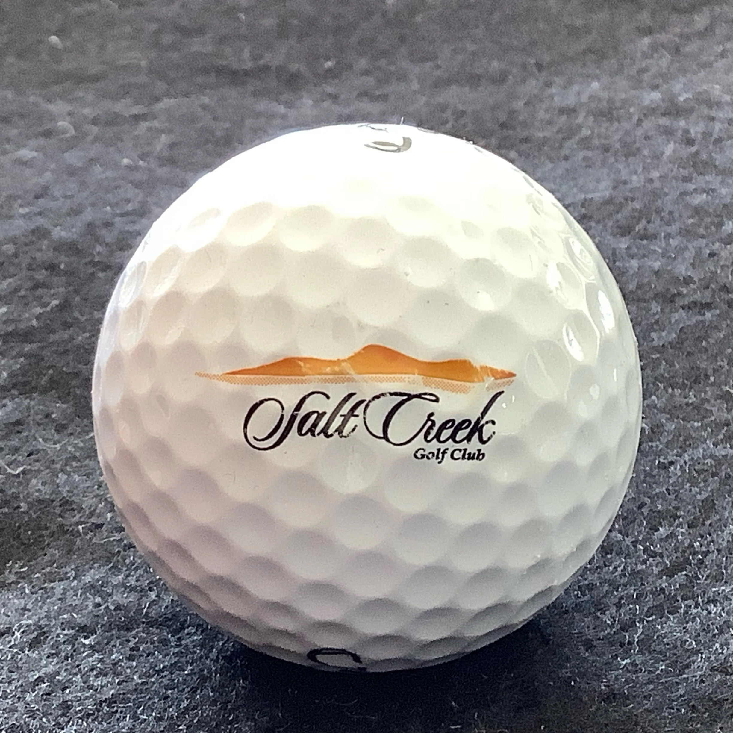 Salt Creek Golf Club