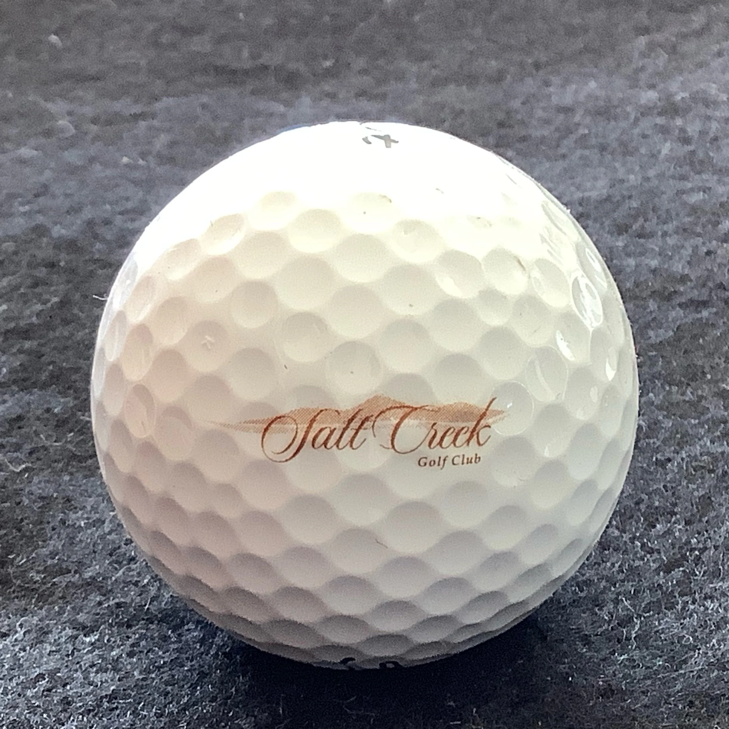 Salt Creek Golf Club
