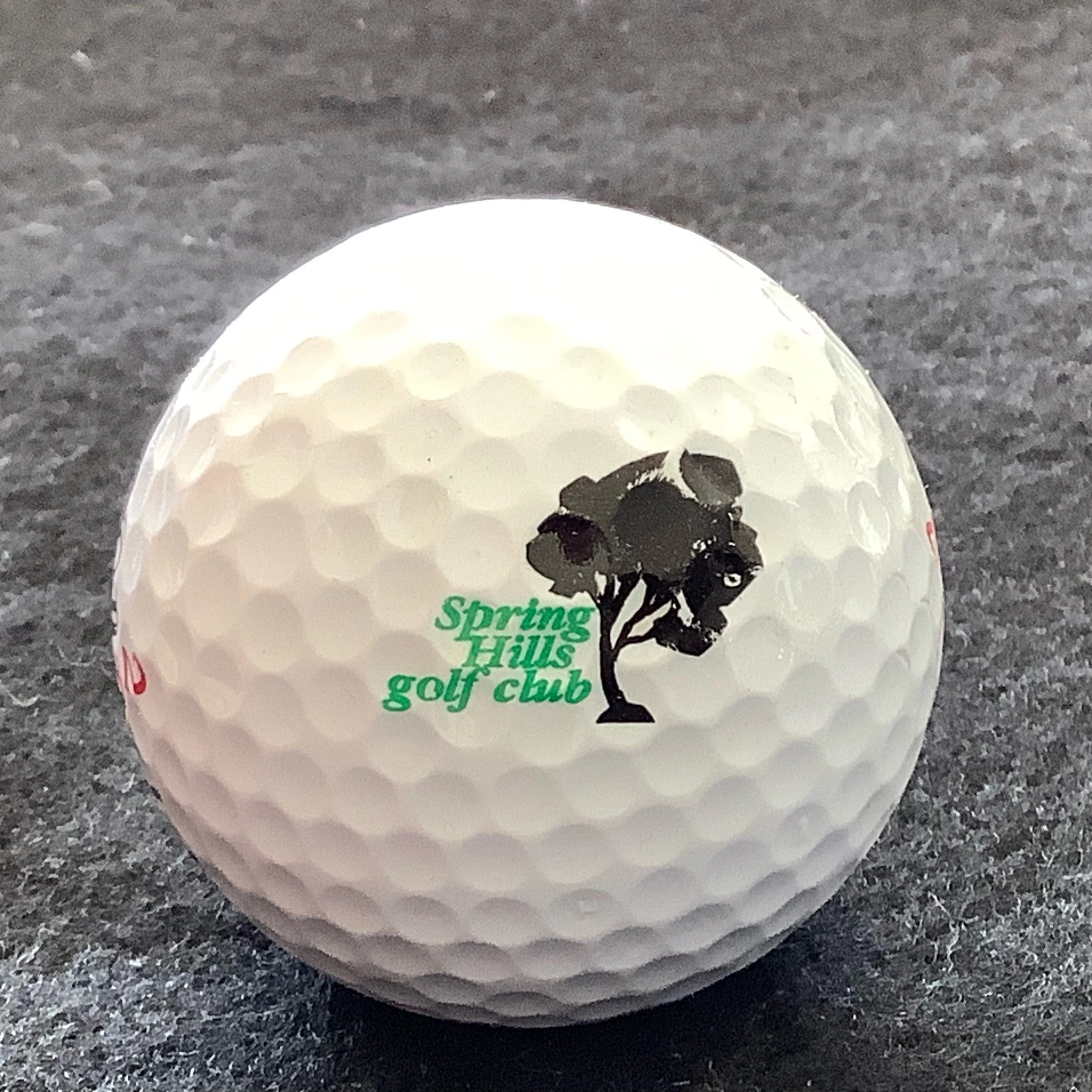 Spring Hills Golf Club