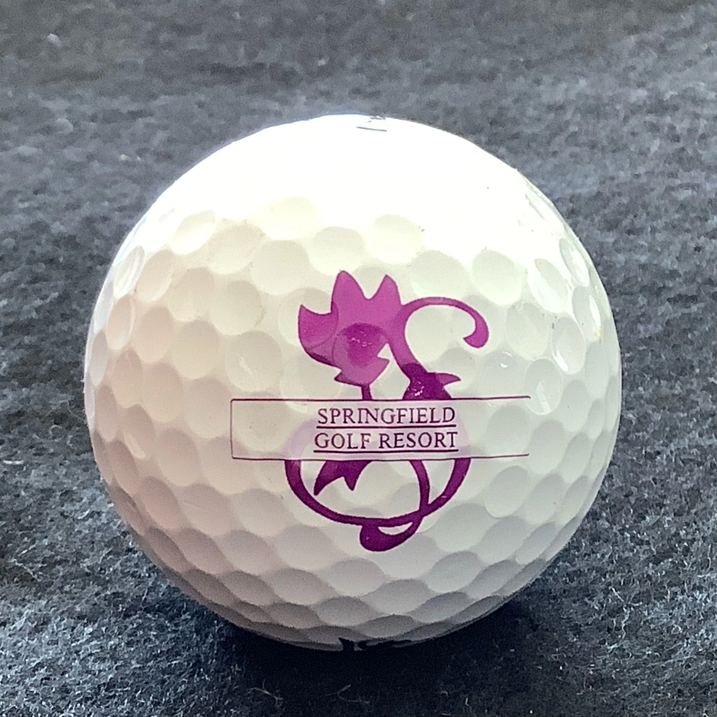 Springfield Golf Resort