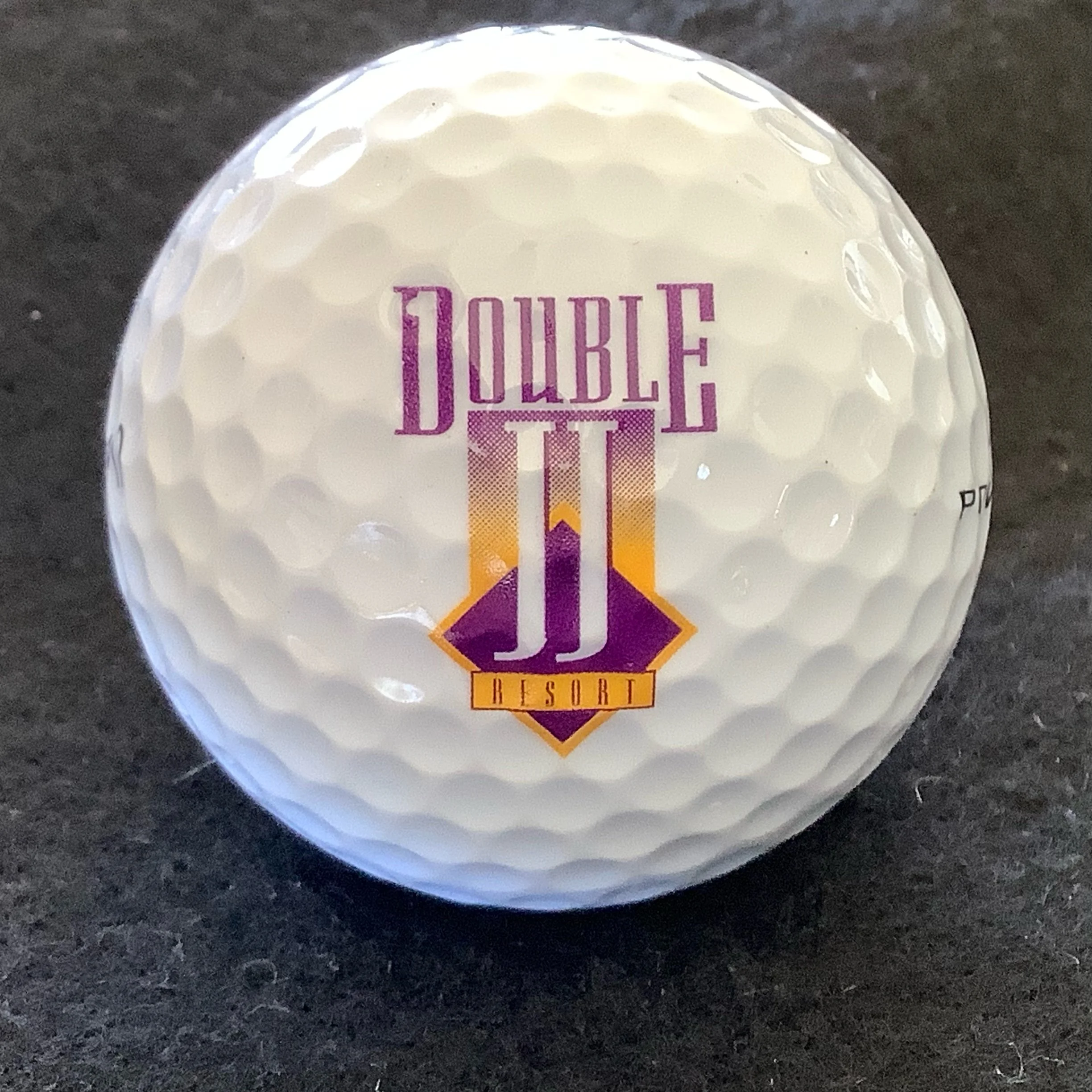 Double JJ Resort