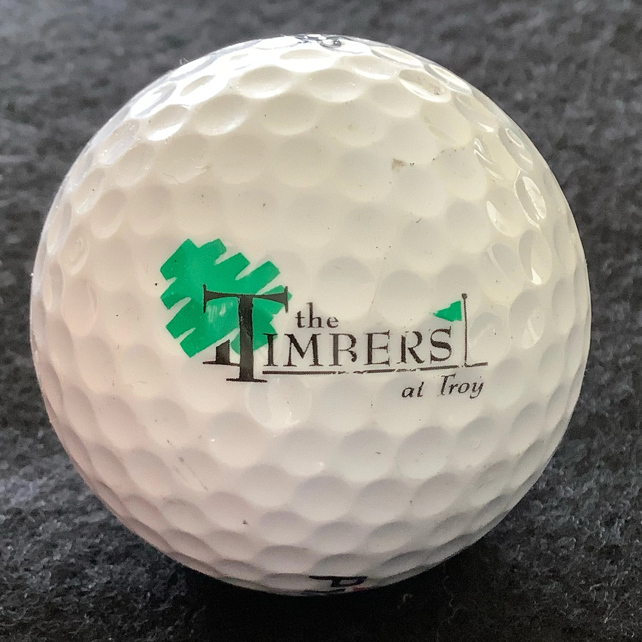 Timbers - The Timbers at Troy Golf Course