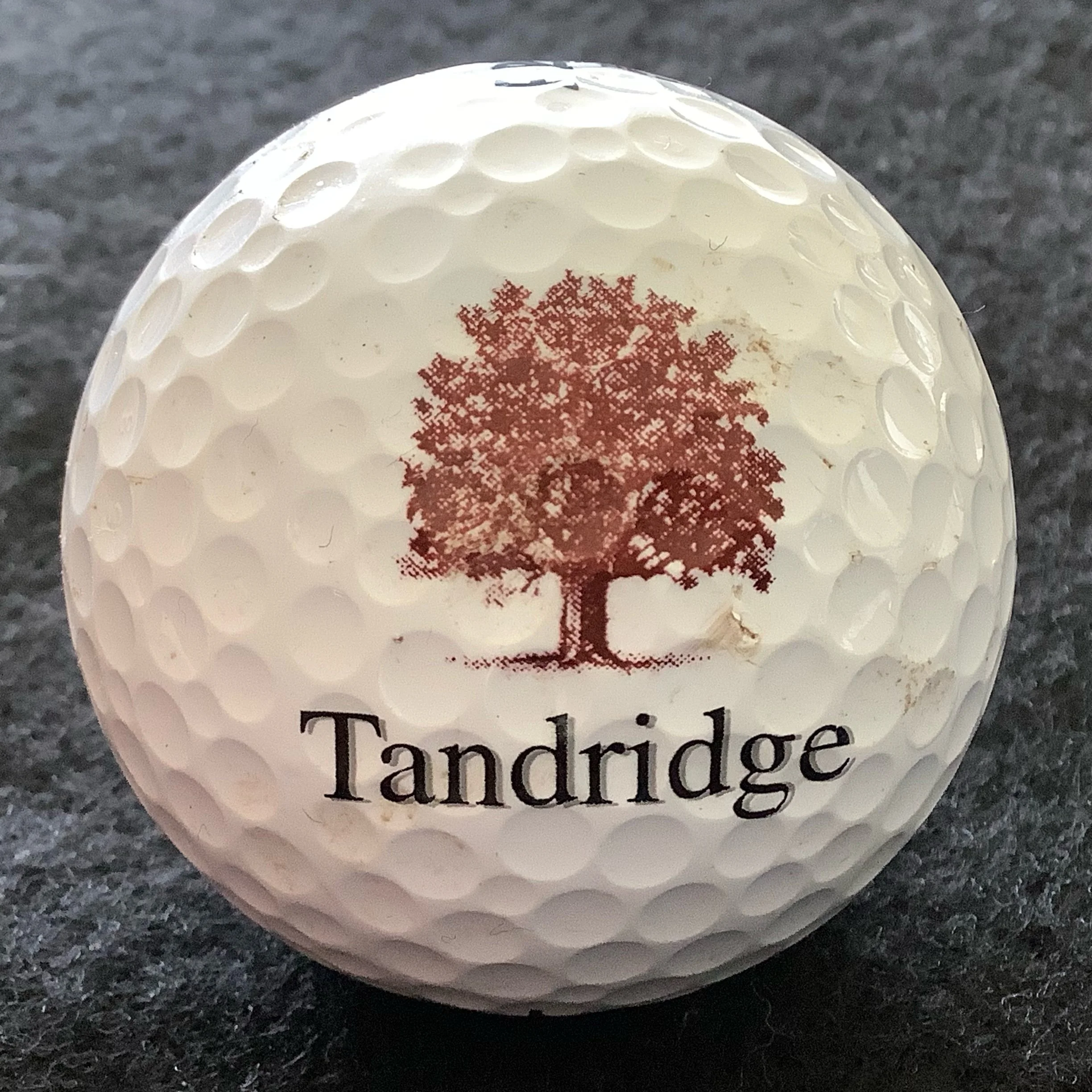 Tandridge Golf Club