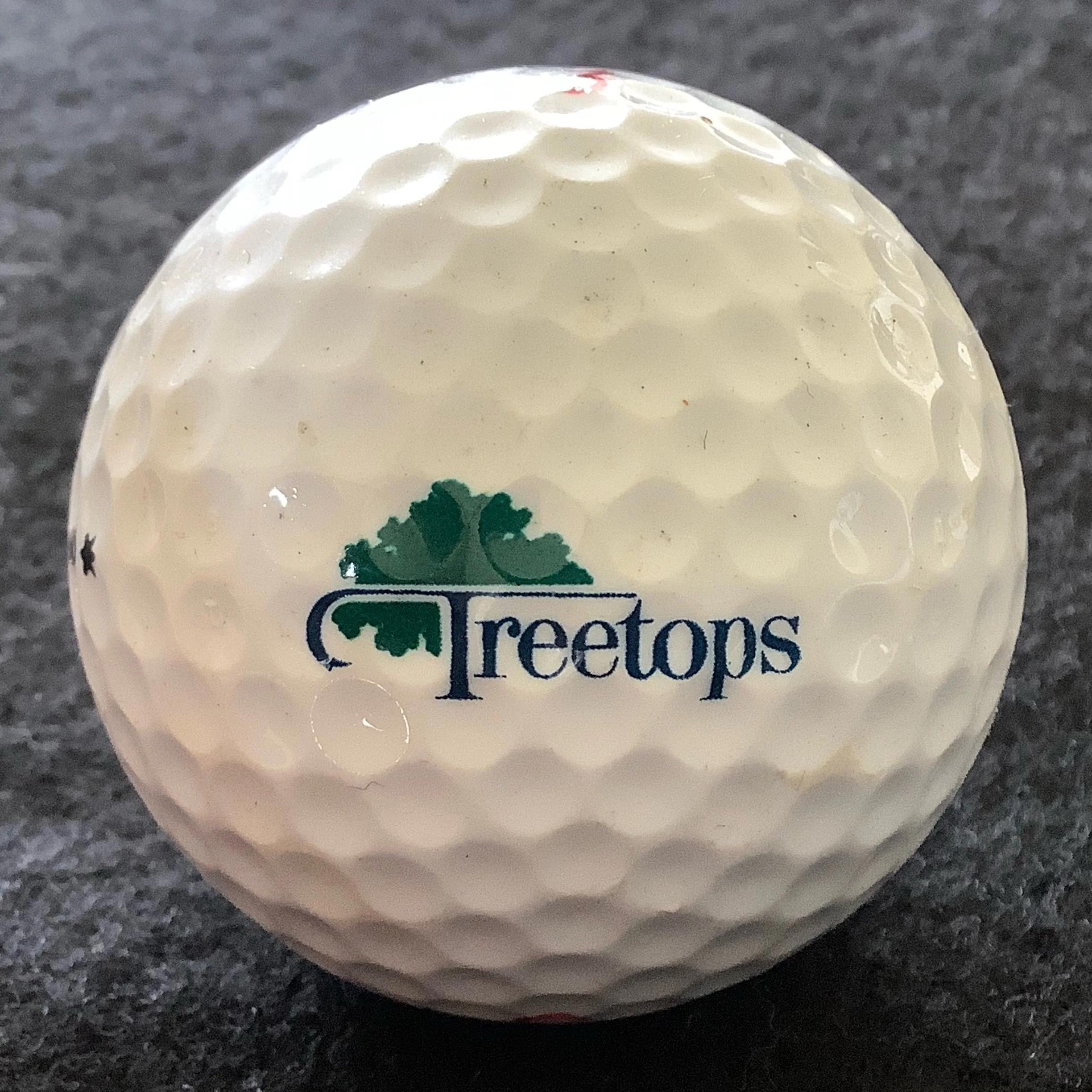 Treetops Resort