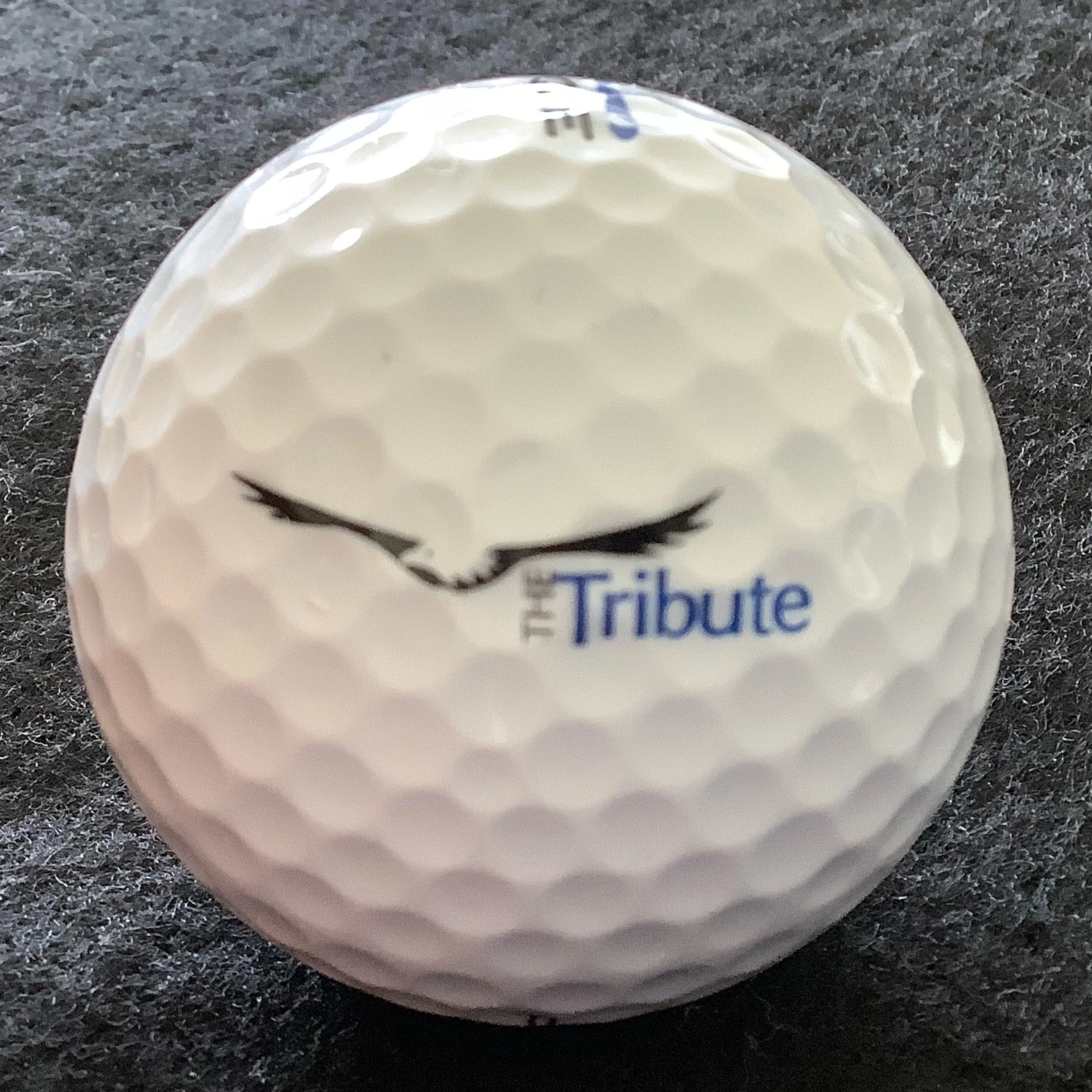 Tribute - The Tribute at Otsego