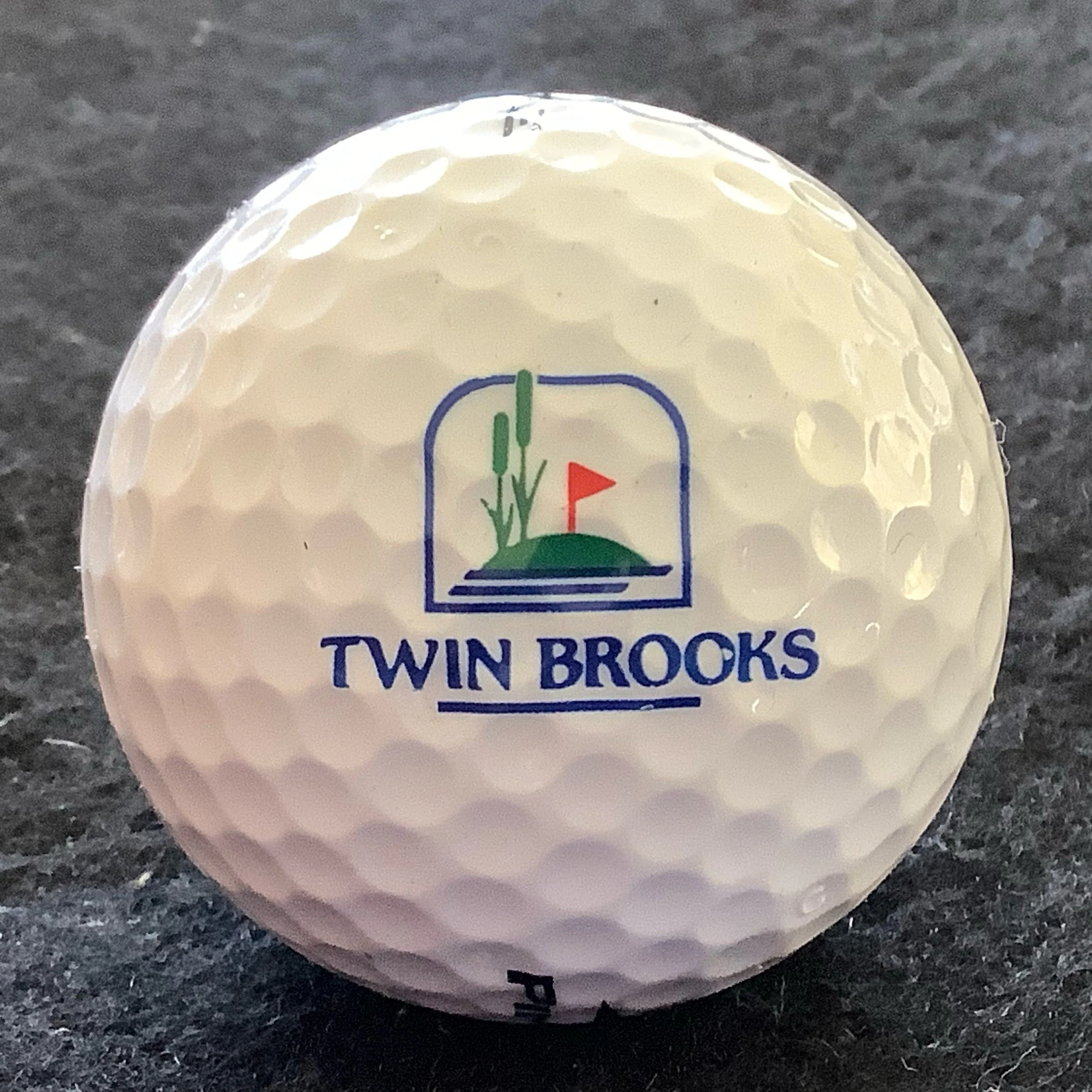 Twin Brooks Golf Club
