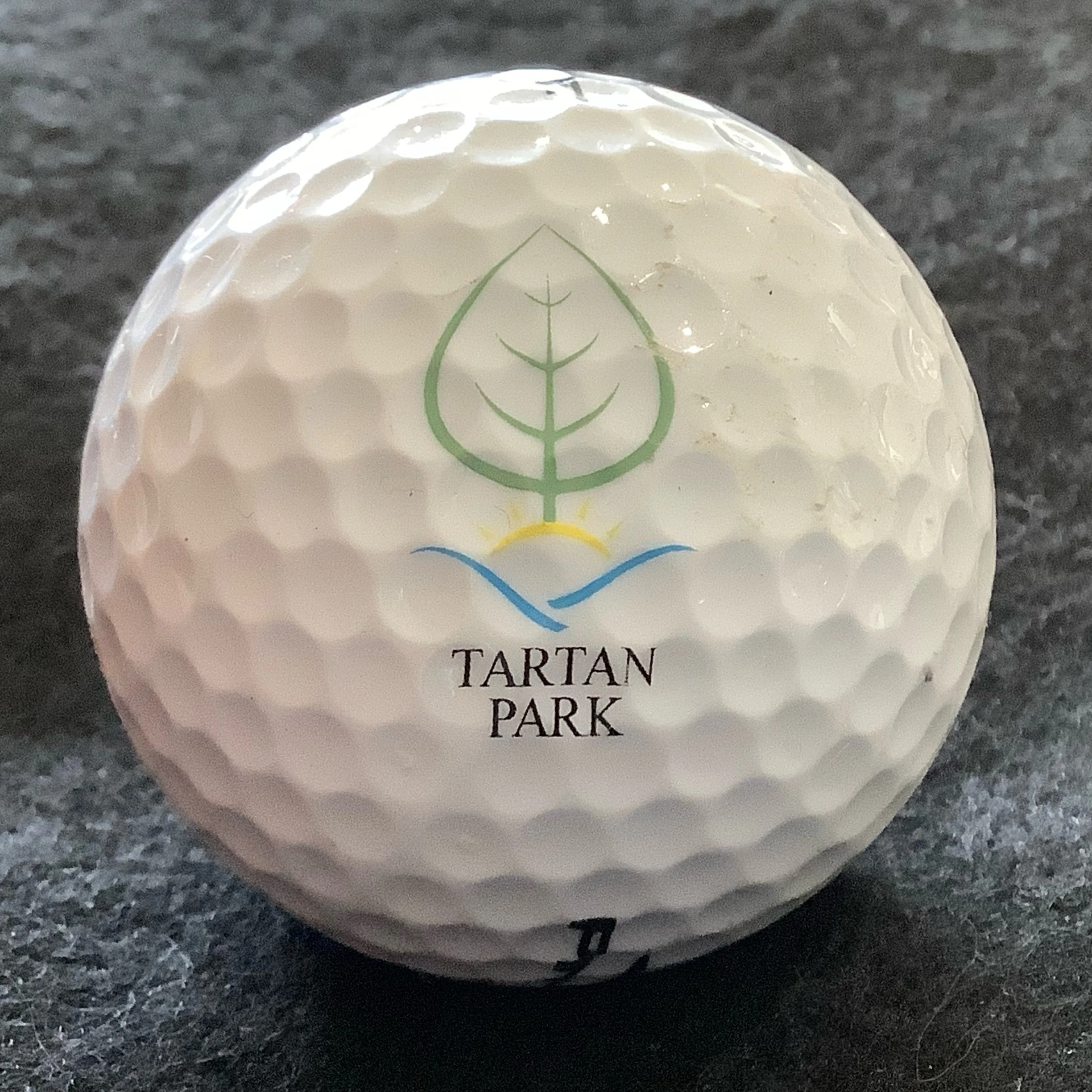Tartan Park Golf Course