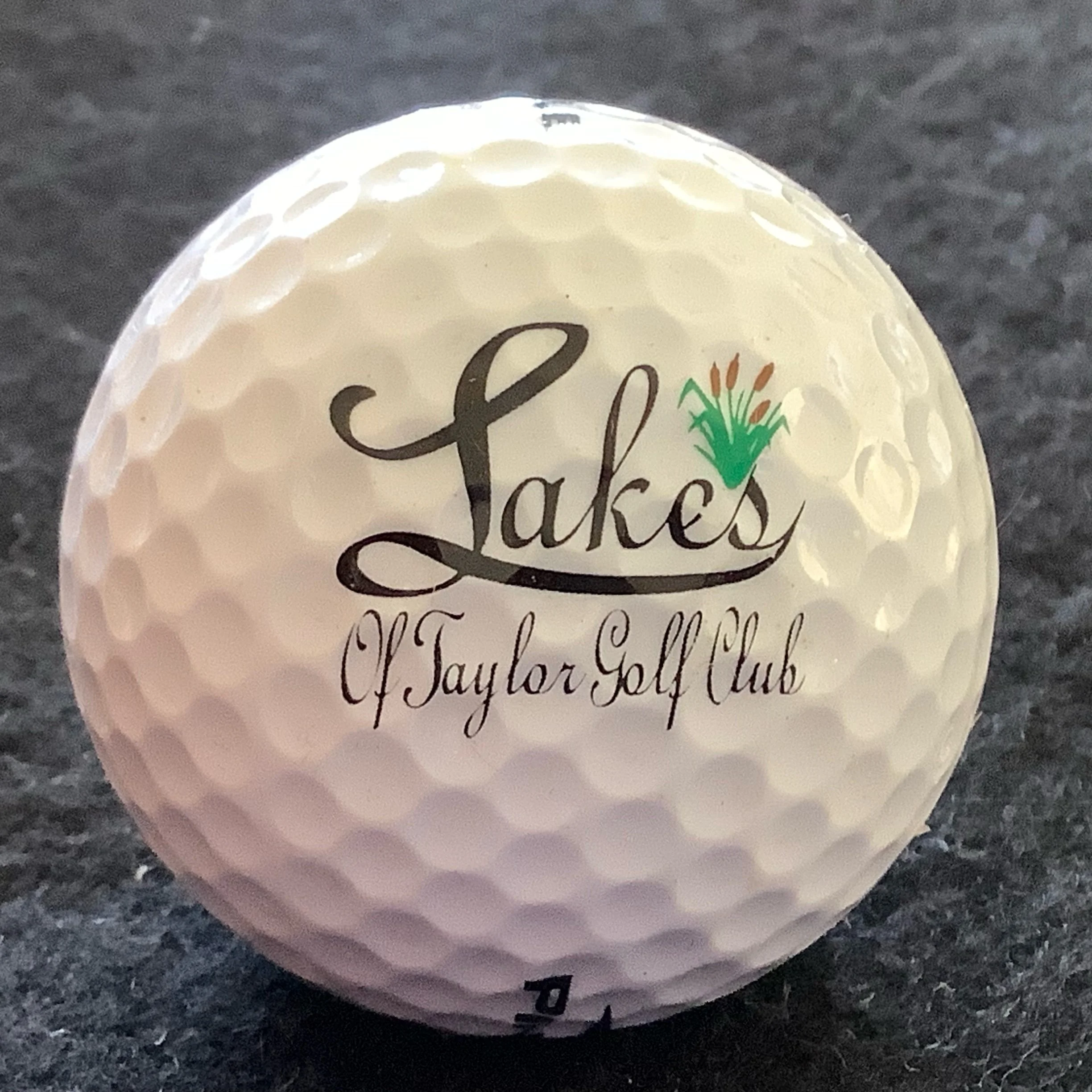Lakes of Taylor Golf Club