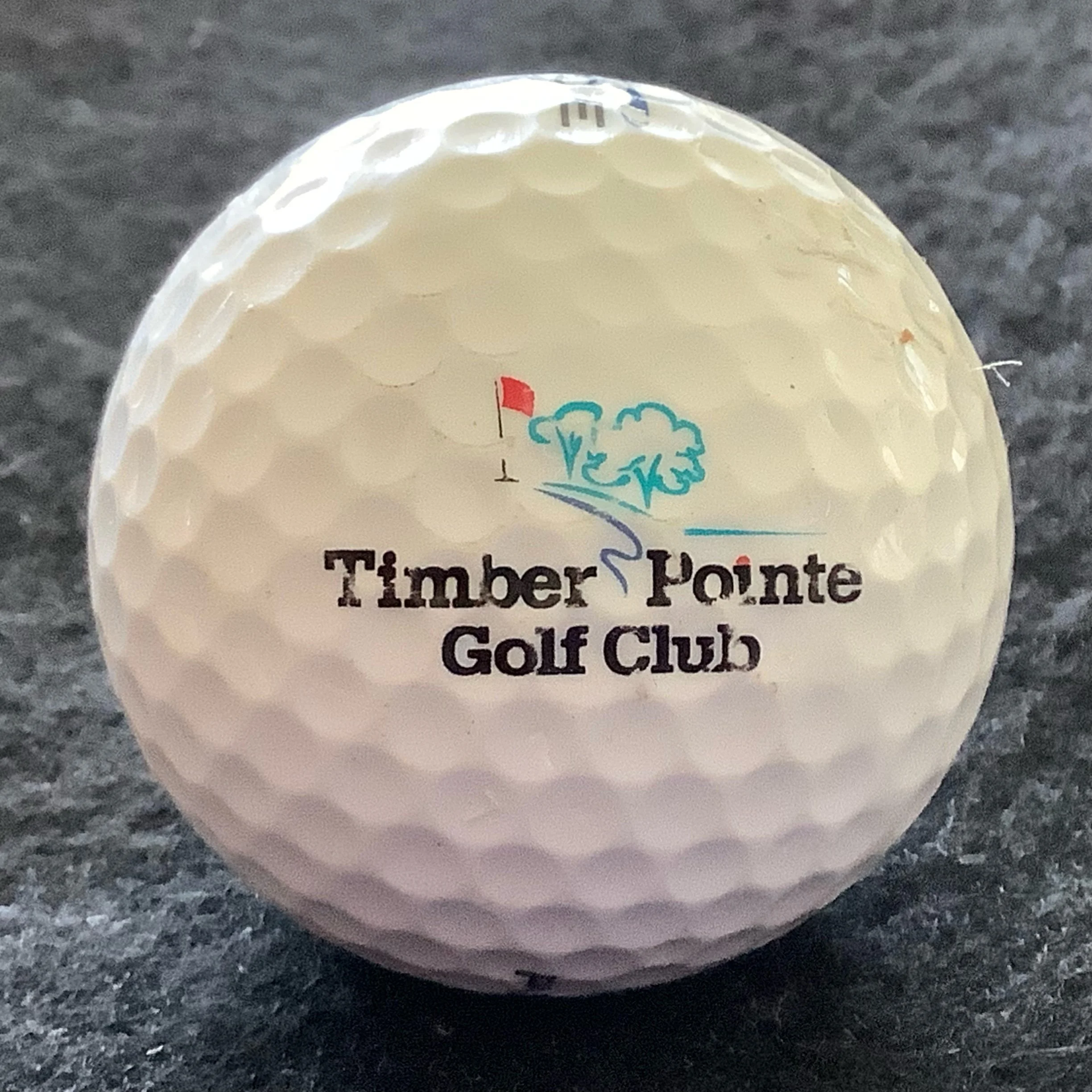 Timber Pointe Golf Club